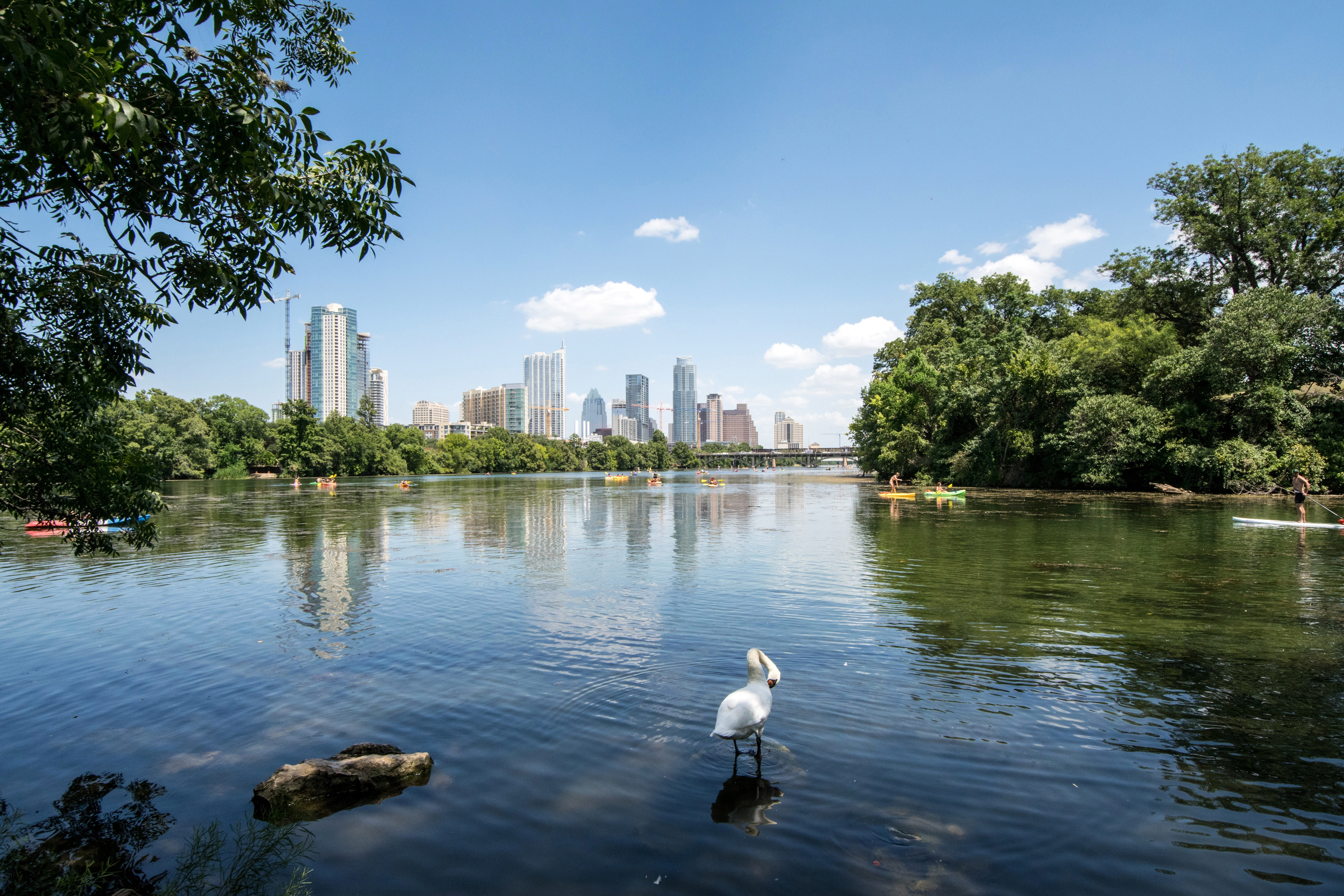 no people, uSA, day, sky, public domain, nature, landscape, building Exterior, cloud - sky, cityscape, waterfront, urban Skyline, central Park, Lake, animal themes, HD Wallpaper