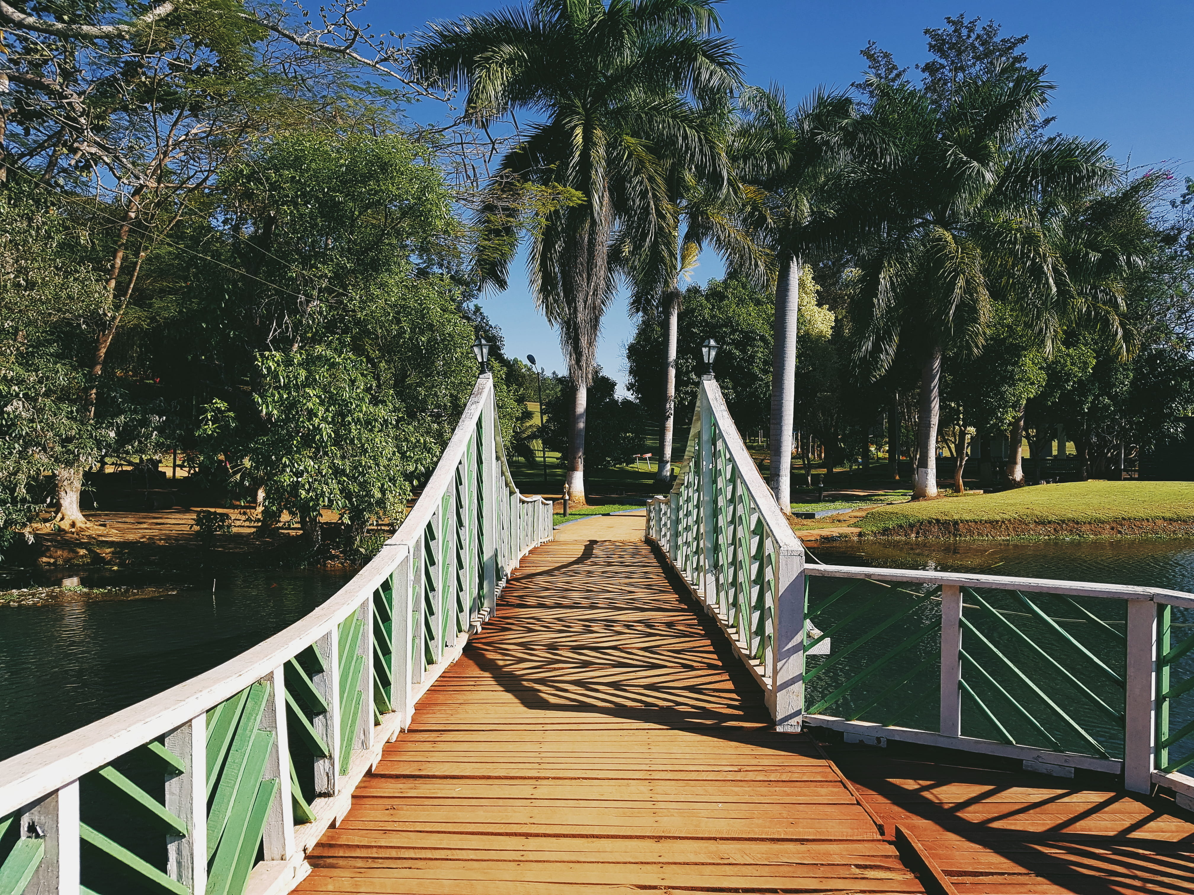 building, outdoors, bridge, 4K, wood, diminishing perspective, day, built structure, palm tree, porch, shadow, tree, water, boardwalk, long, arecaceae, HD Wallpaper