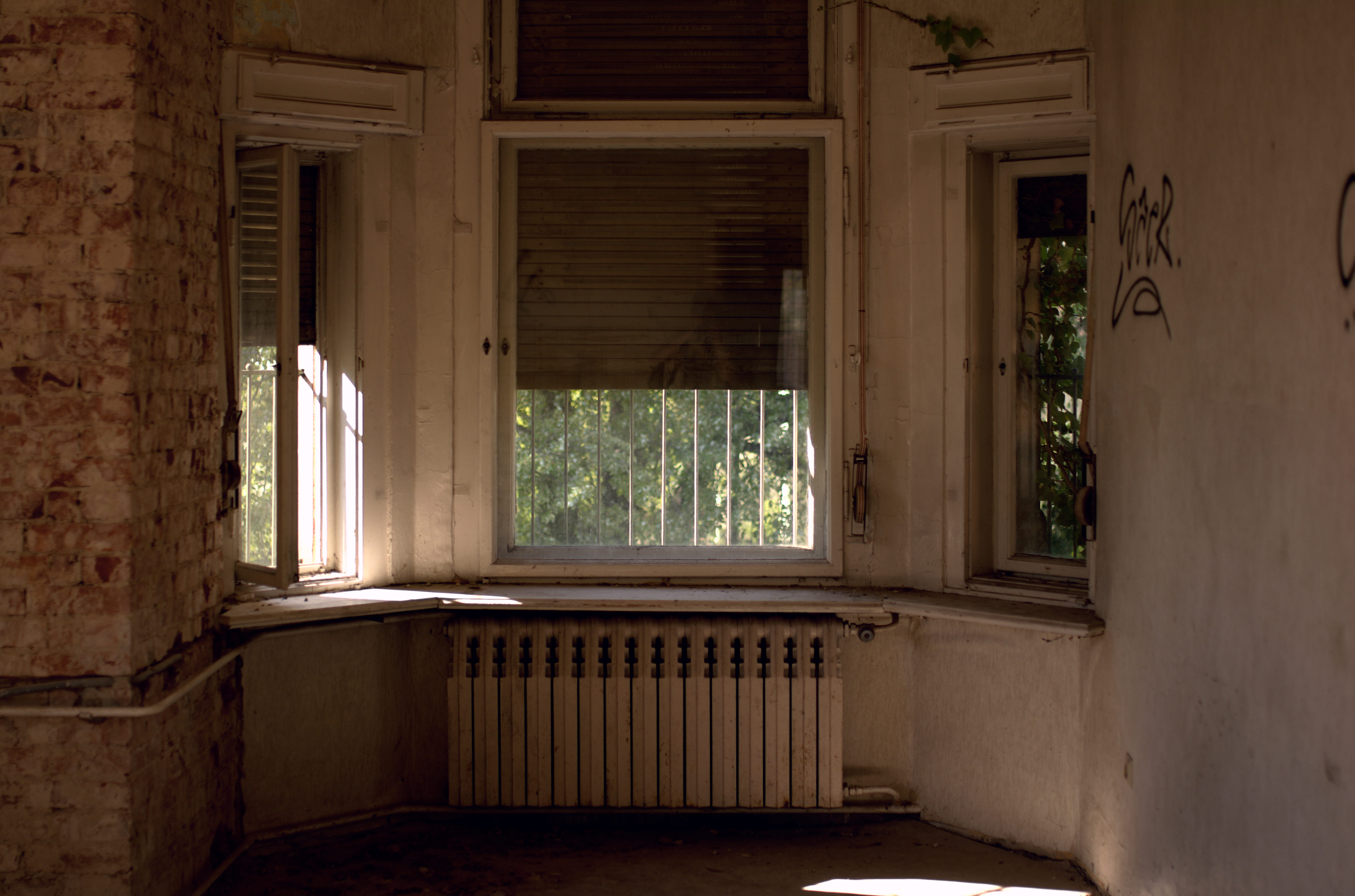 abandoned, radiator, wood - material, day, plant, floor, shutter, shelf, built structure, window shade, 5K, home decor, handrail, domestic room, wood, HD Wallpaper