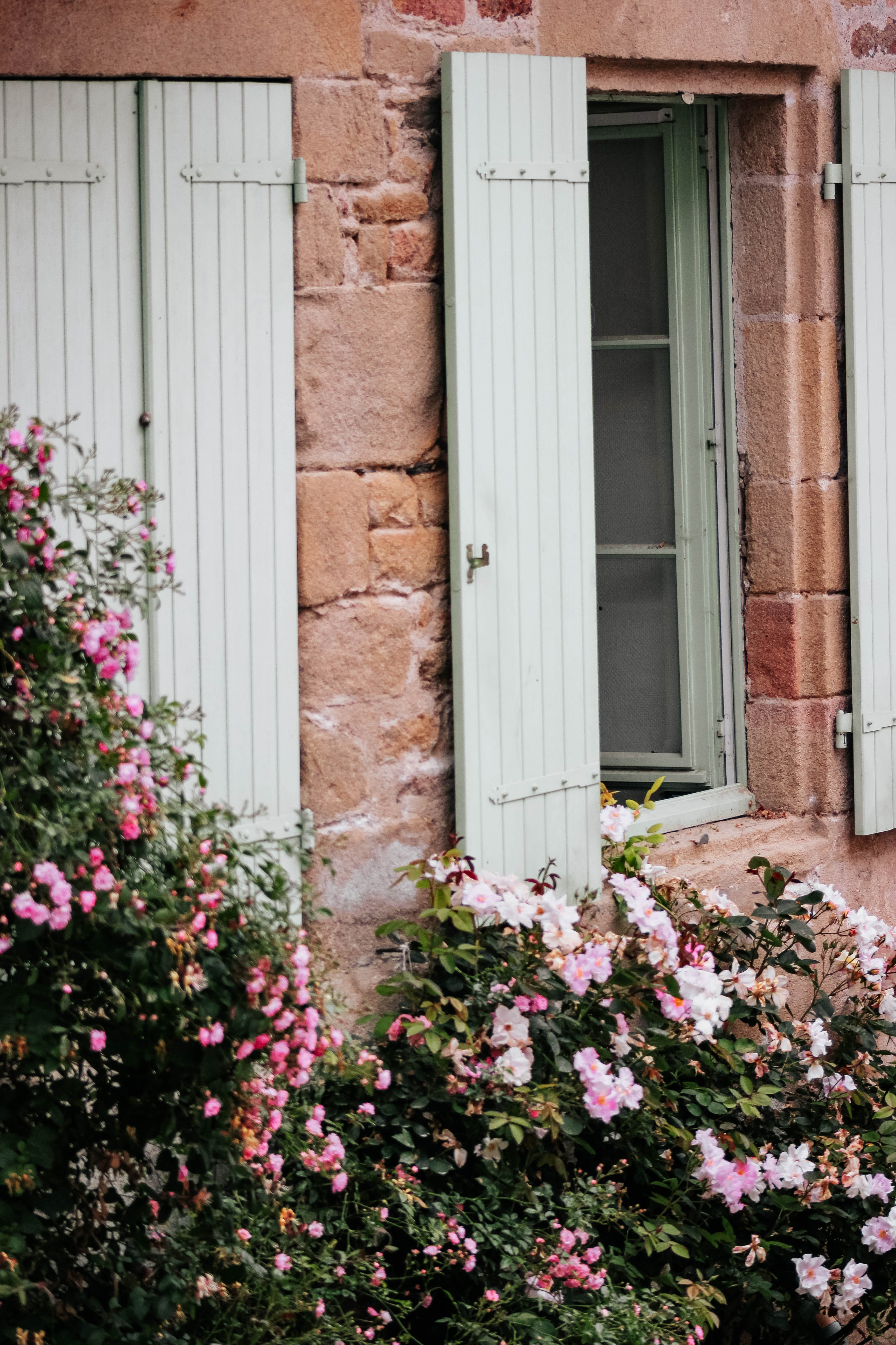 beauty in nature, blossom, france, potted plant, vulnerability, jar, wall, flower, geranium, window, planter, growth, pottery, building exterior, no people, Phone HD Wallpaper