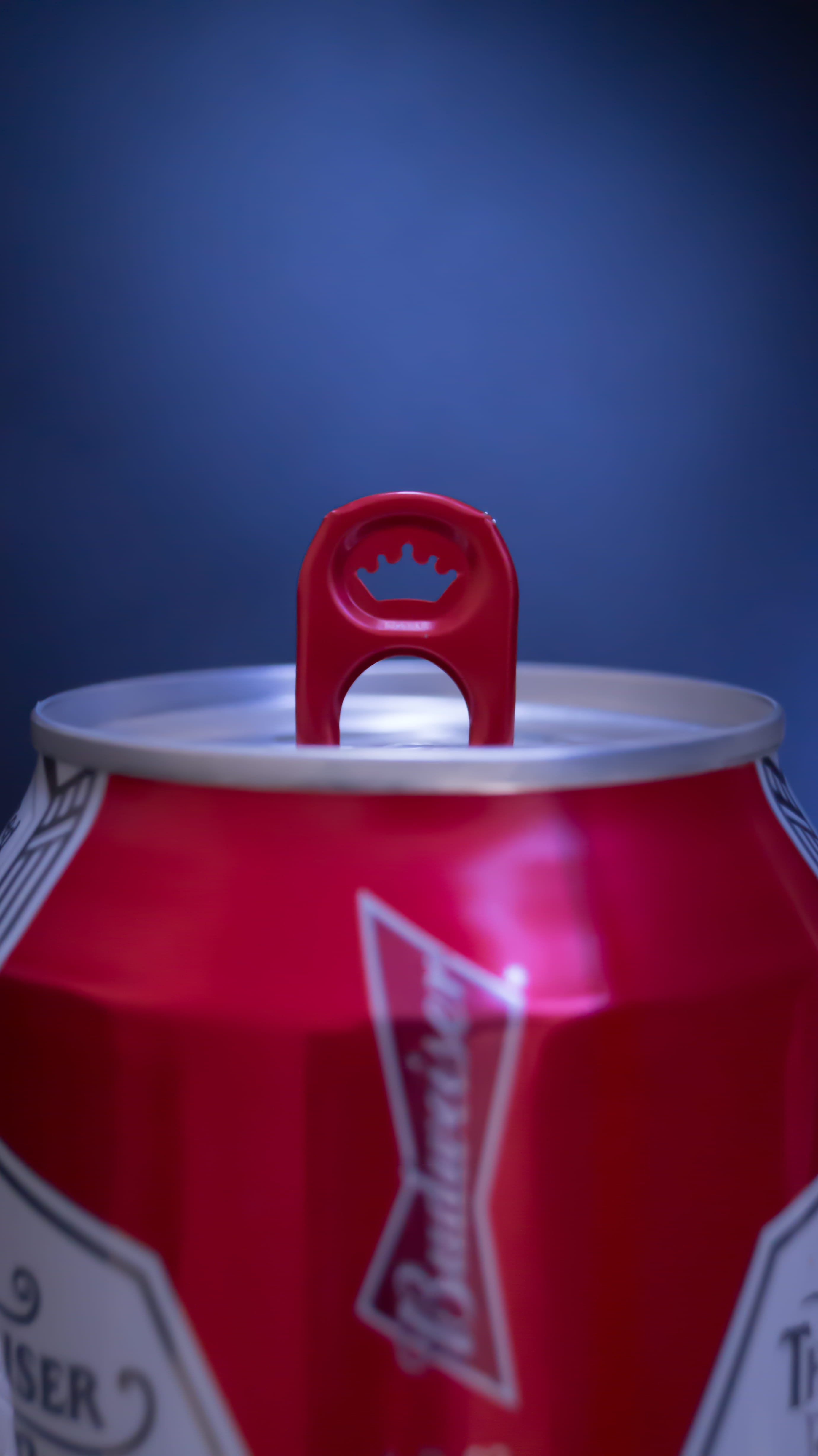 cup, beer, still life, red, blue background, drink, studio shot, colored background, table, 4K, sport, no people, budweiser, indoors, drink can, food and drink, Phone HD Wallpaper