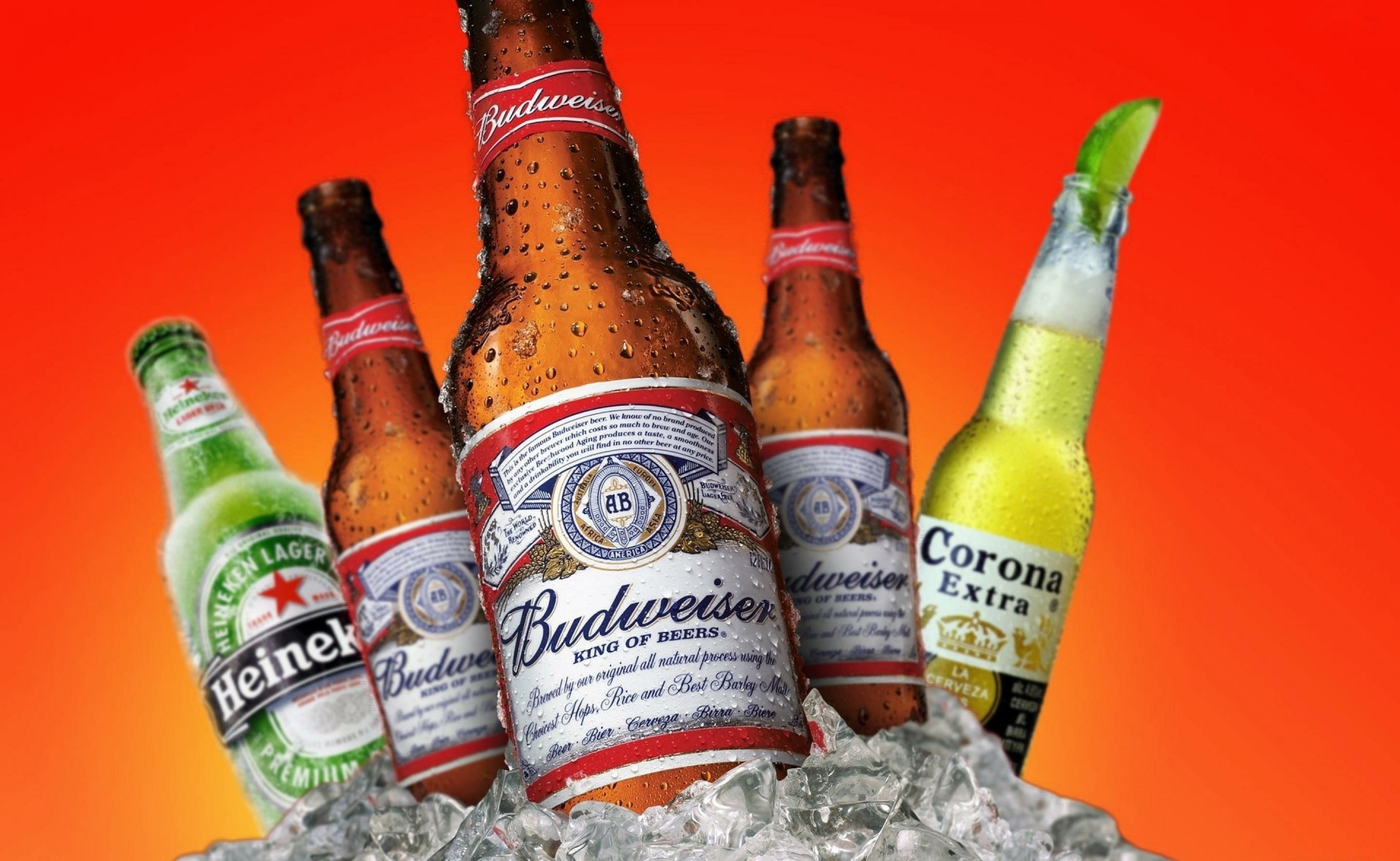 heineken, budweiser, 2K, beer, HD Wallpaper