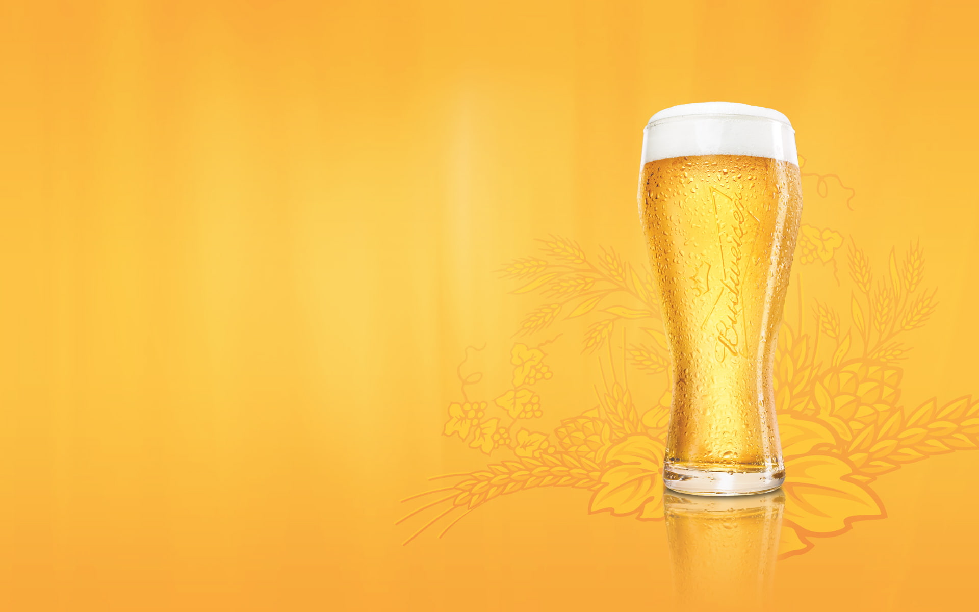 pilsner, indoors, Glass, close-up, still life, ornate, studio shot, beer, no people, drink, orange background, refreshment, clear, luxury, beer - alcohol, HD Wallpaper