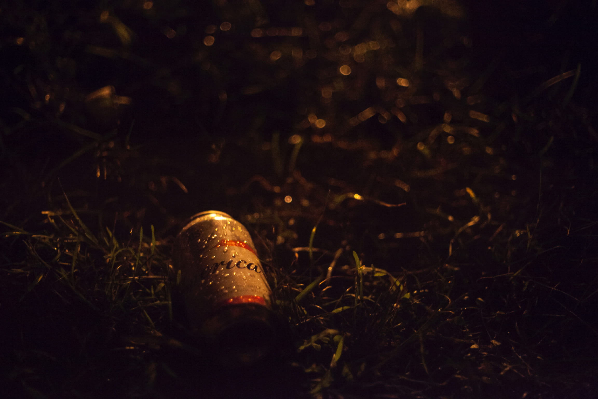 field, no people, close-up, beer, land, plant, can, forest, grasses, nature, outdoors, drink, food and drink, mushroom, green, grass, red, night, 1080P, HD Wallpaper