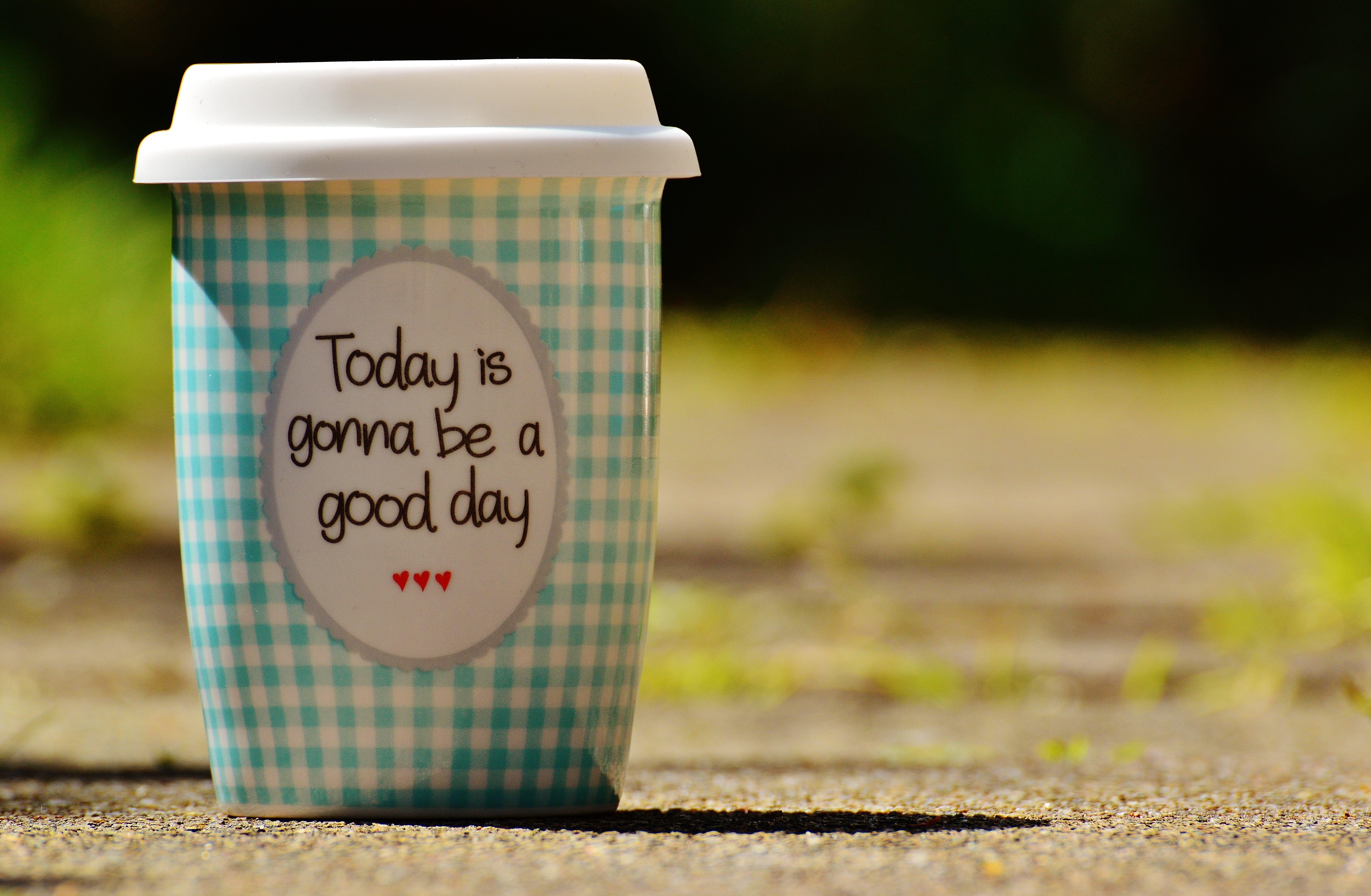 joy of life, joy, cup, smile, western script, container, good day, happiness, happy, positive, plant, beautiful day, fun, soil, cheerful, close-up, communication, HD Wallpaper