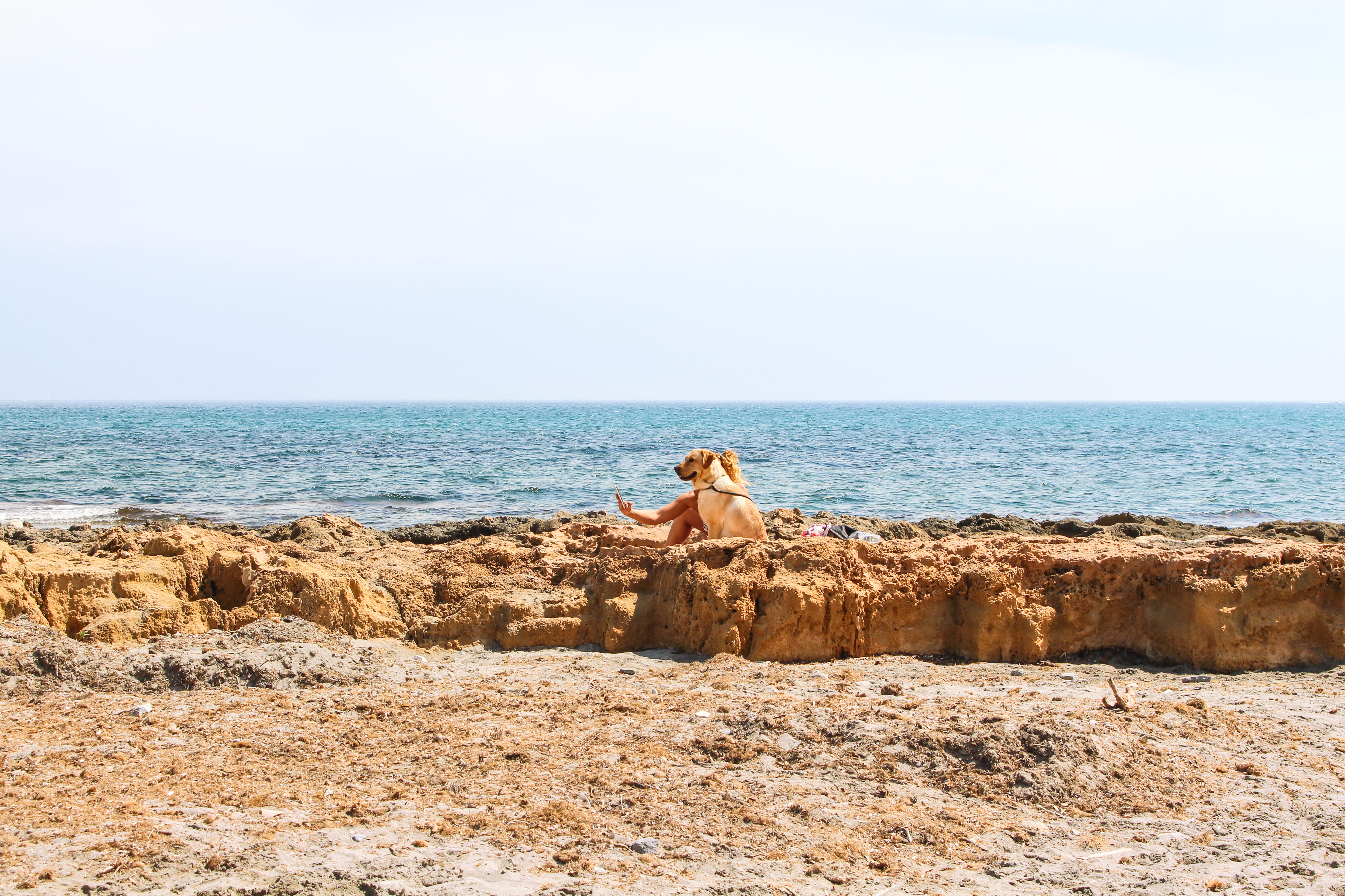 scenics - nature, leisure activity, sky, vacation, photo, people, ocean, sea, mammal, dog, tranquility, clear sky, sand, horizon over water, humor, summer, HD Wallpaper