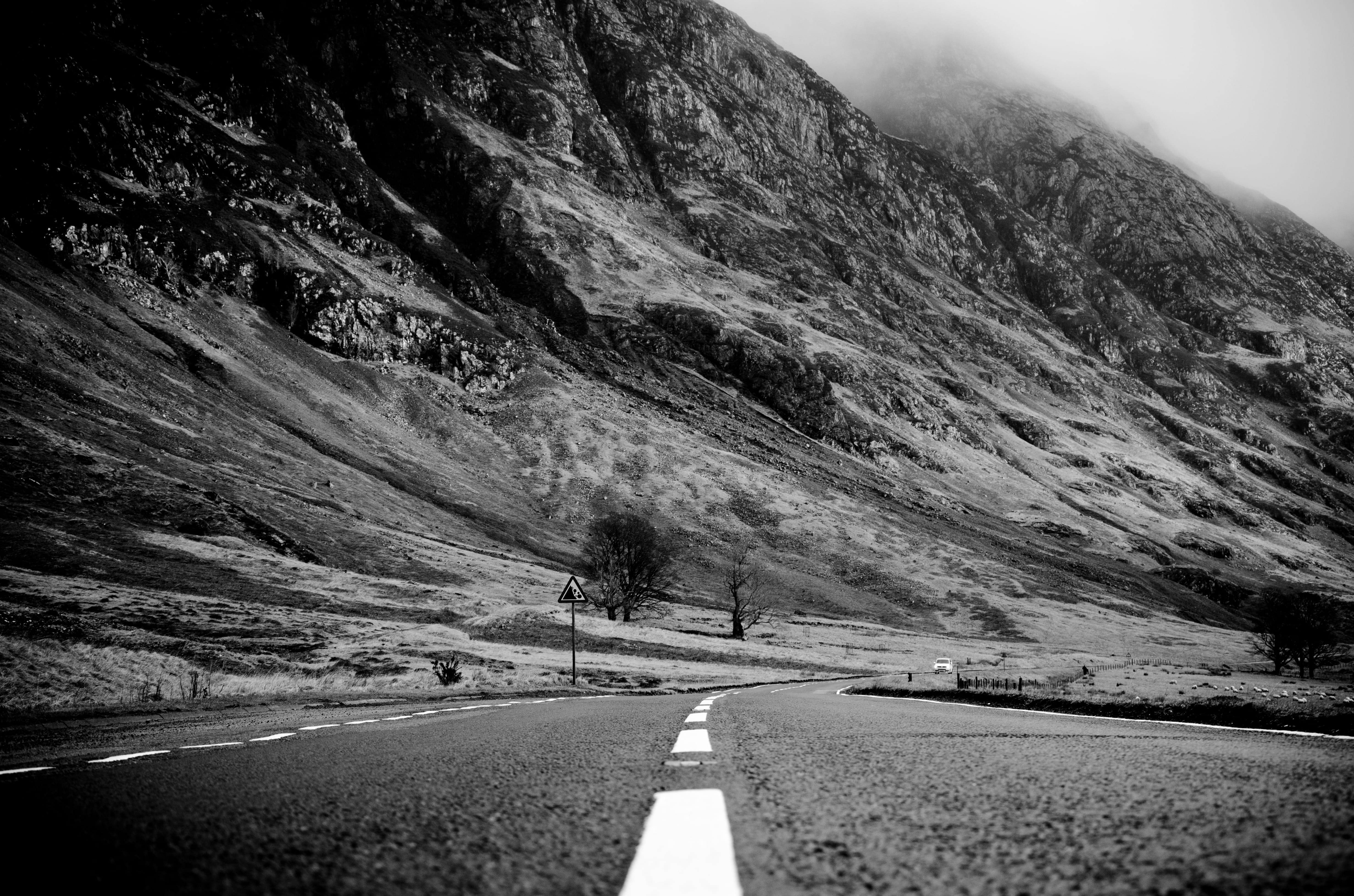 beauty in nature, road marking, the way forward, formation, lane, scenery, 4K, empty road, landscape, nature, marking, no people, day, environment, tree, HD Wallpaper