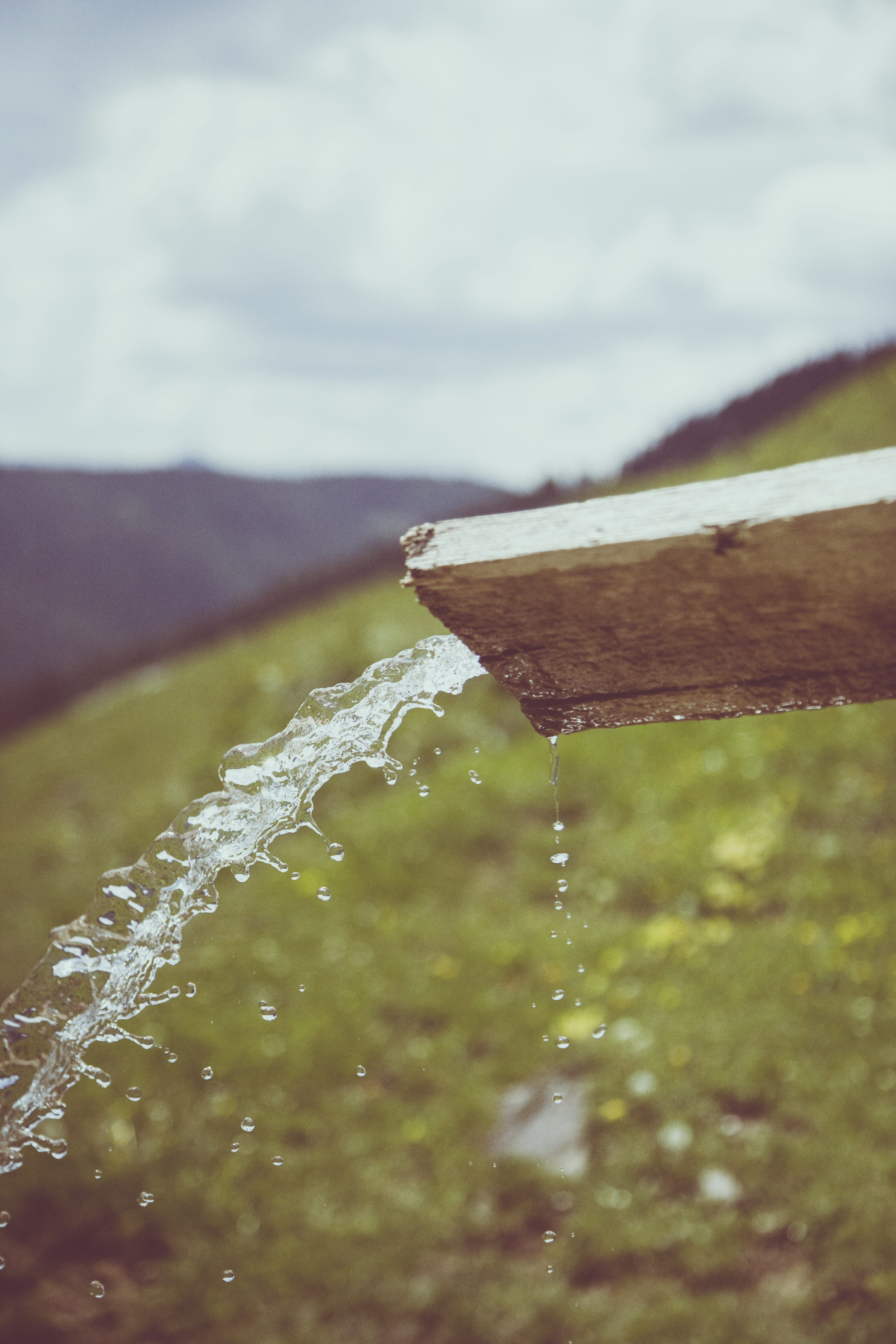 4K, environment, thru, outdoors, brown, field, wood, pouring, plant, nature, land, no people, cut, macro, purity, selective focus, motion, drop, tranquility, Phone HD Wallpaper