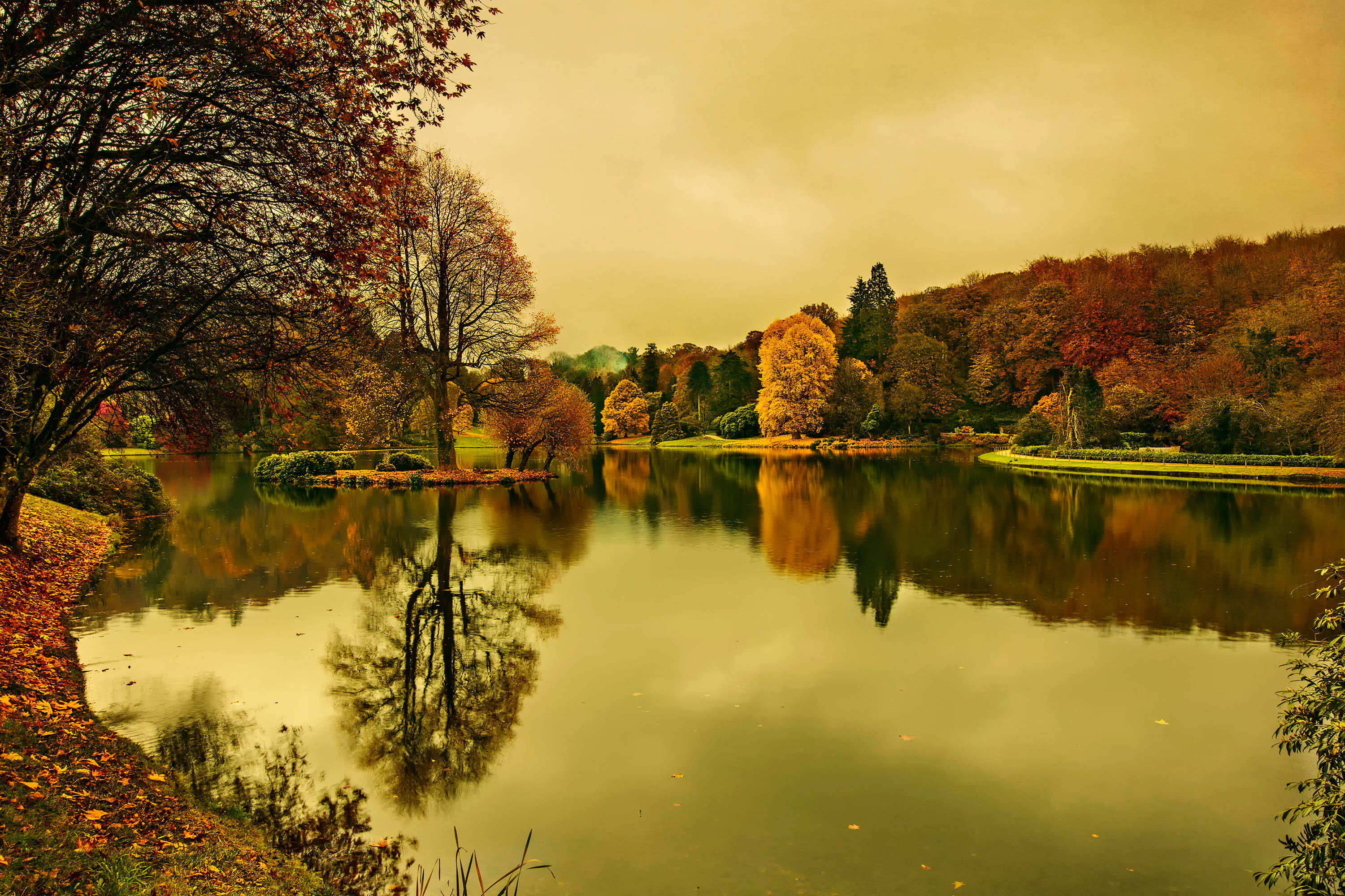 no people, autumn, lake, reflection, reflection lake, beauty in nature, tree, water, change, waterfront, plant, standing water, idyllic, trees, nature, HD Wallpaper