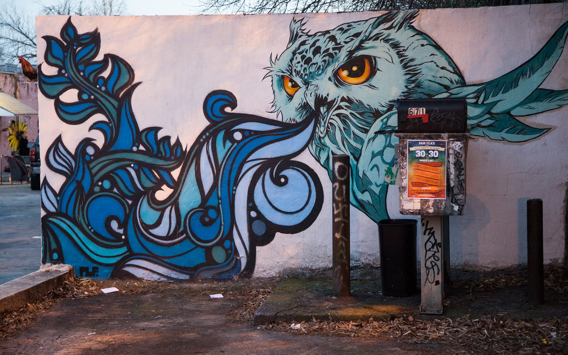 owl, 1080P, graffiti, bird, hd, digital/artwork, HD Wallpaper