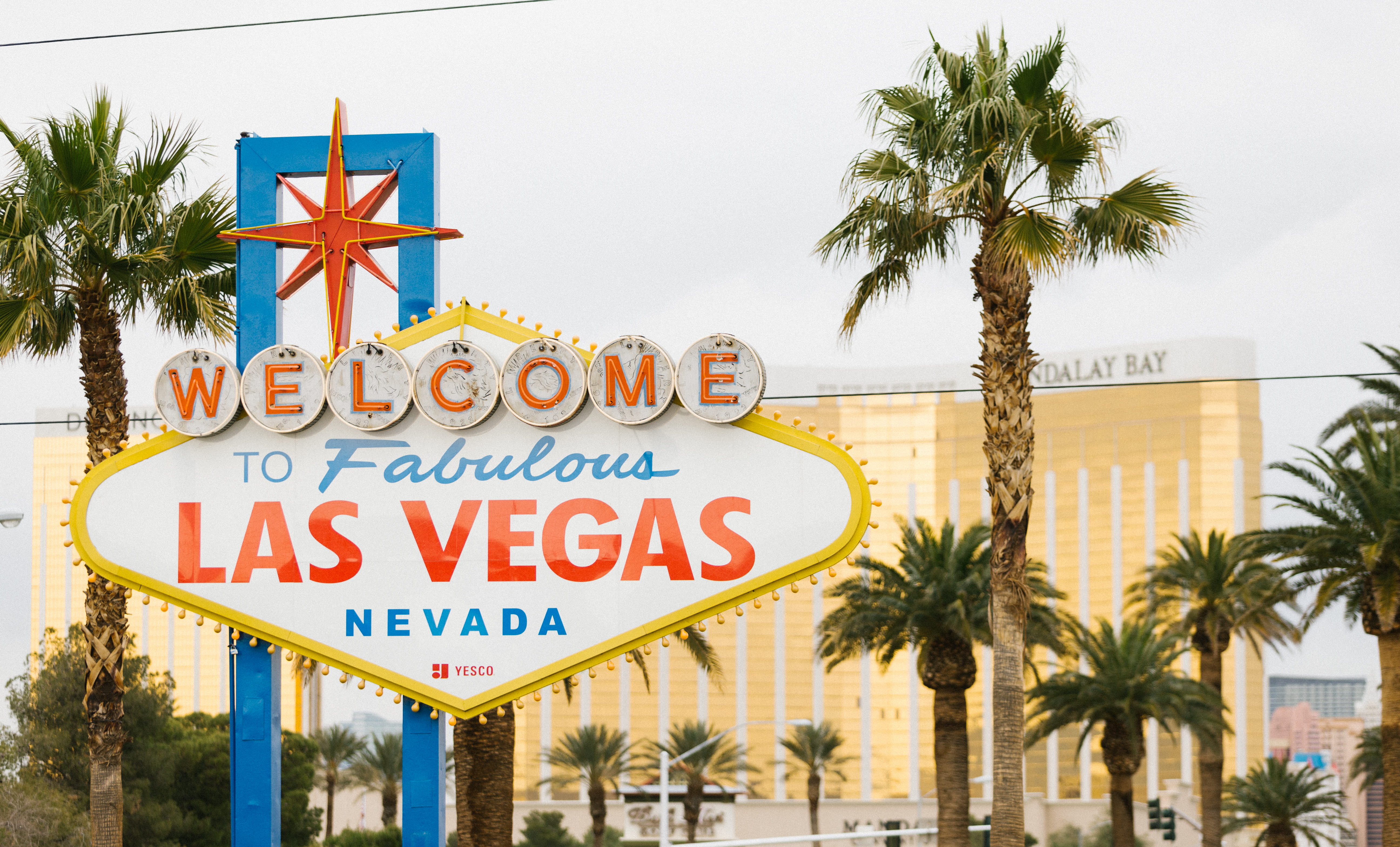 nature, welcome, plant, palm, tropical climate, fabulous, palm tree, travel, vegas, day, city, travel destinations, architecture, nevada, no people, tree, HD Wallpaper