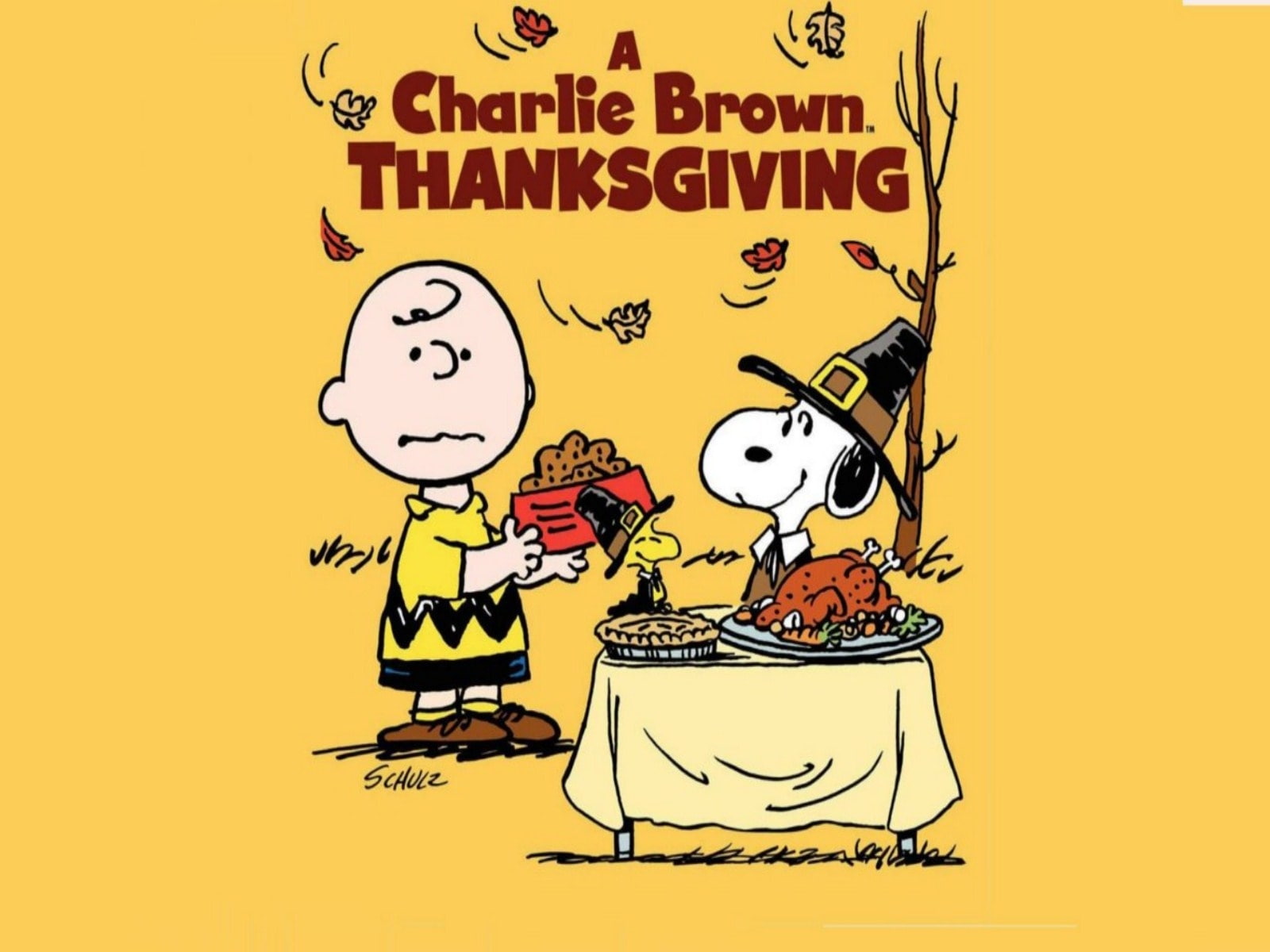 charlie, comics, peanuts, 720P, thankgiving, snoopy, brown, HD Wallpaper