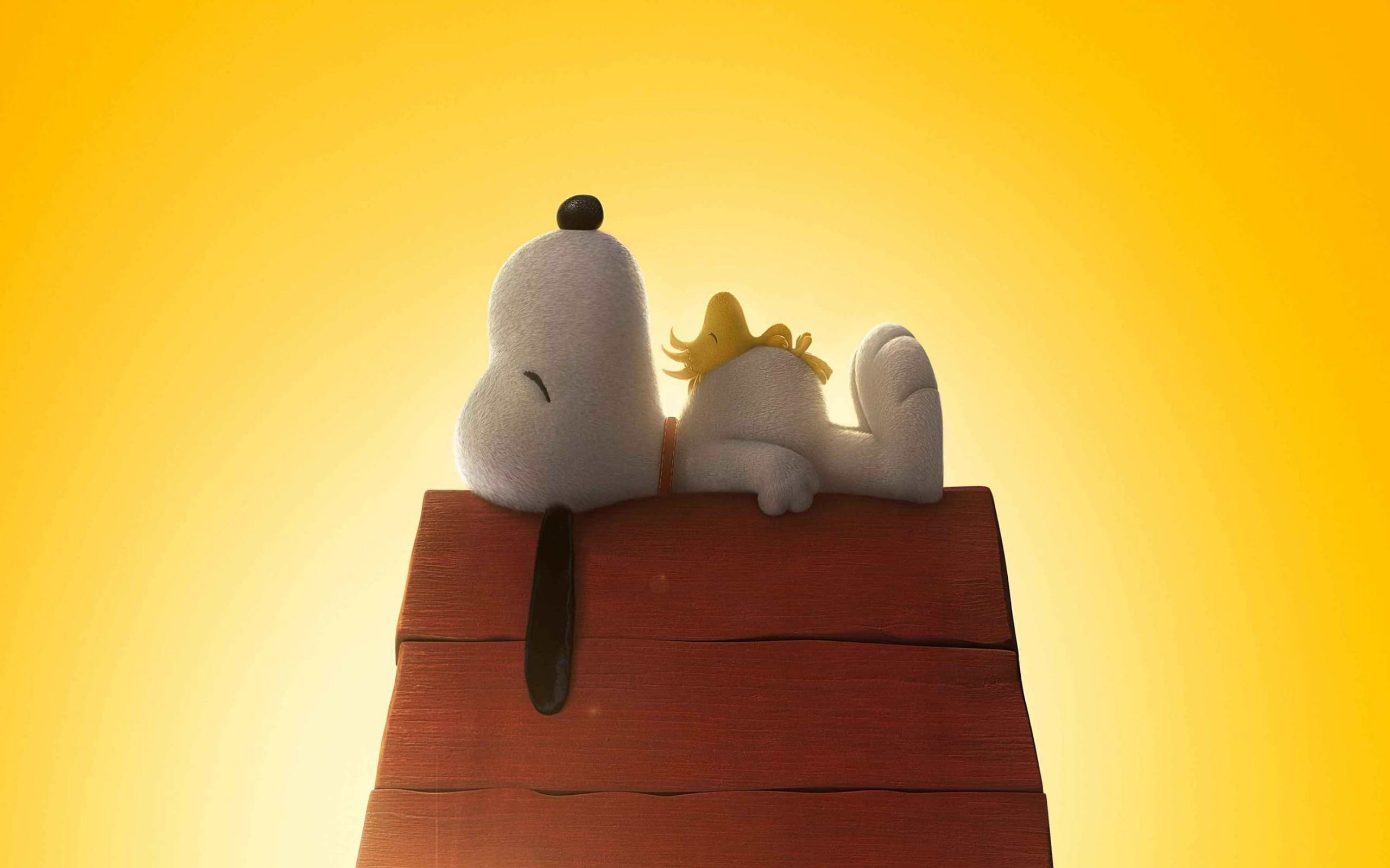 representation, copy space, indoors, still life, colored background, love, snoopy, emotion, hd, wood - material, wall - building feature, peanuts, HD Wallpaper