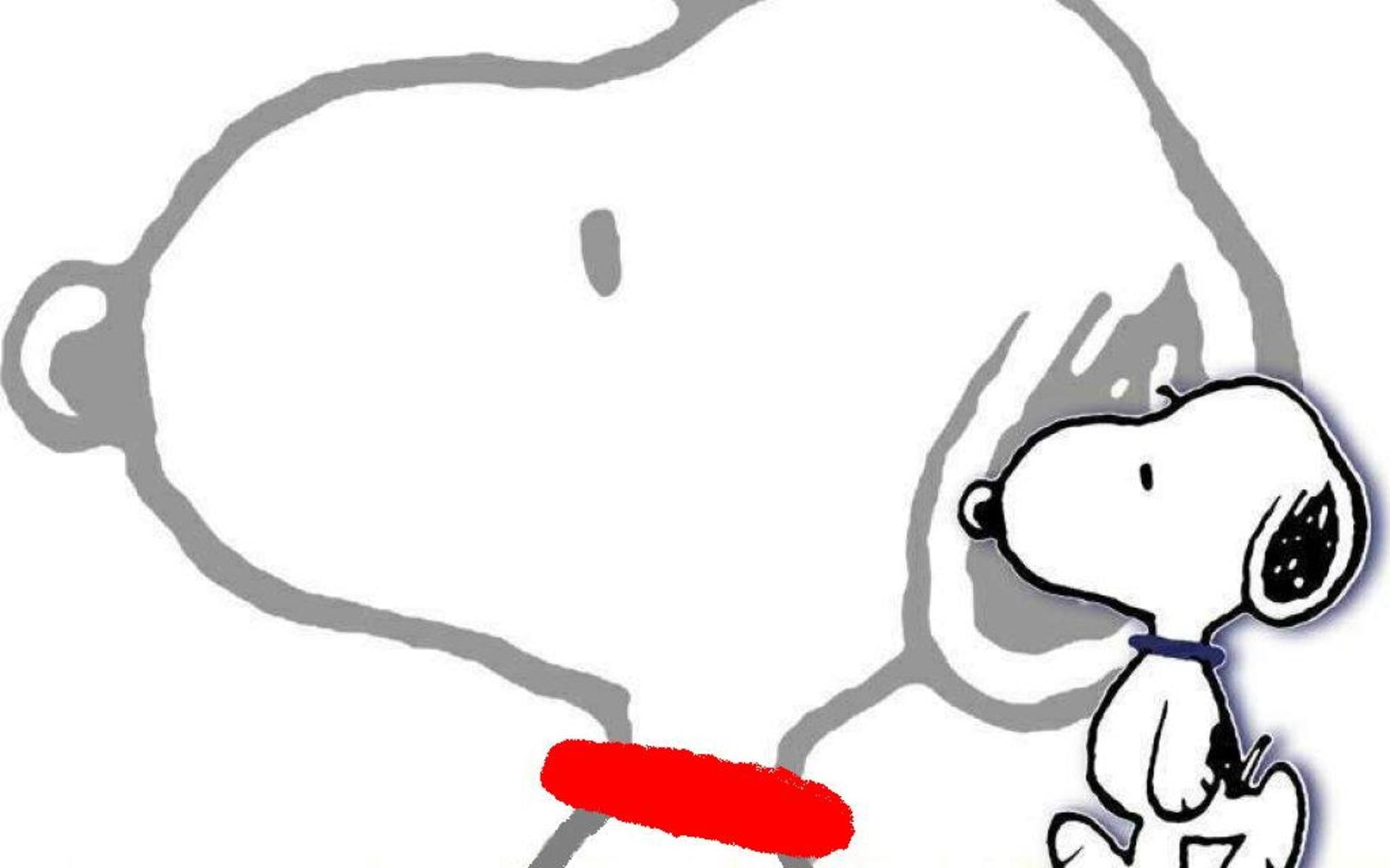 snoopy, 1080P, HD Wallpaper