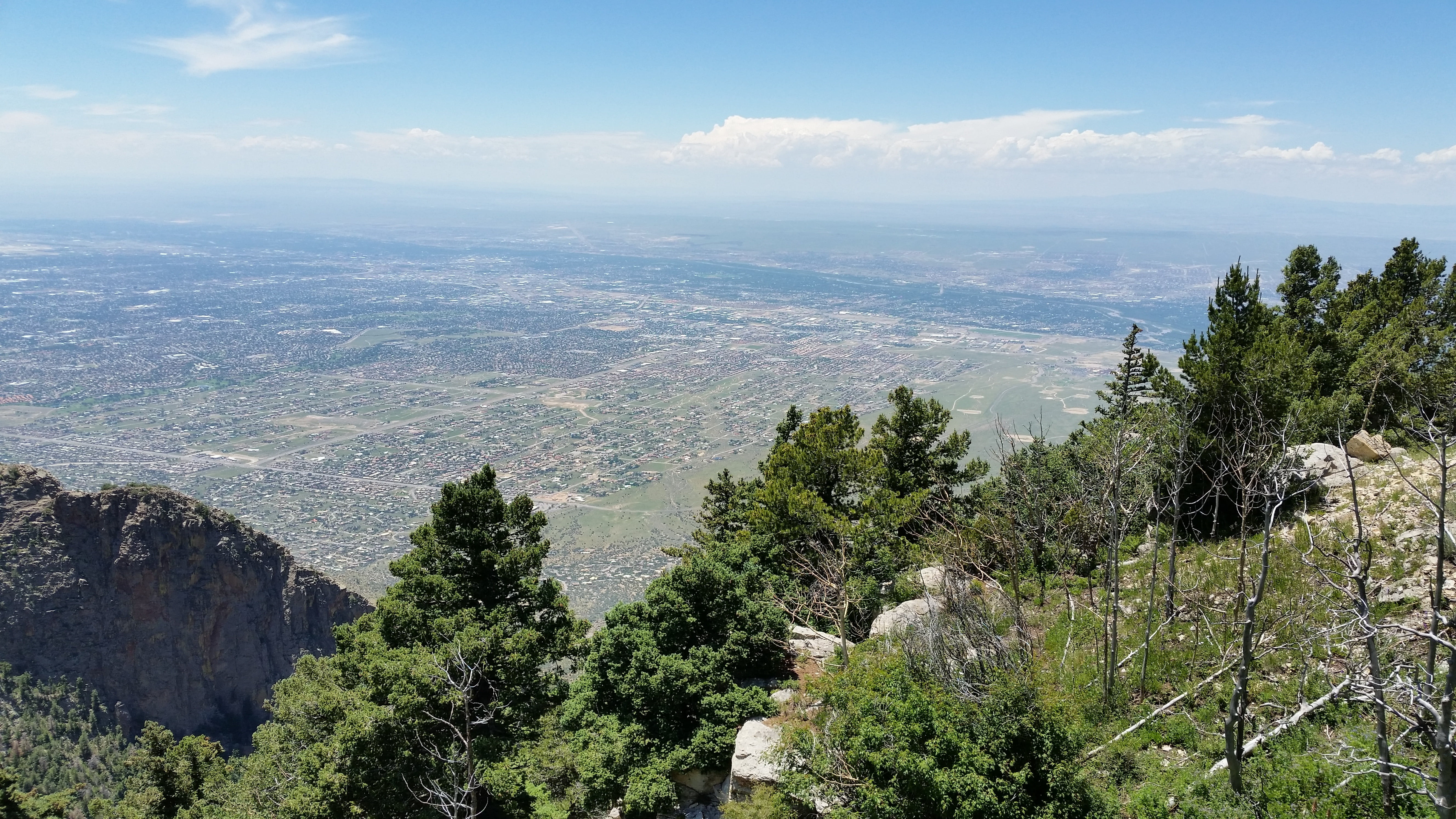 day, tranquil scene, pine tree, sandia mountains, tranquility, growth, environment, coniferous tree, albuquerque, beauty in nature, high angle view, idyllic, HD Wallpaper
