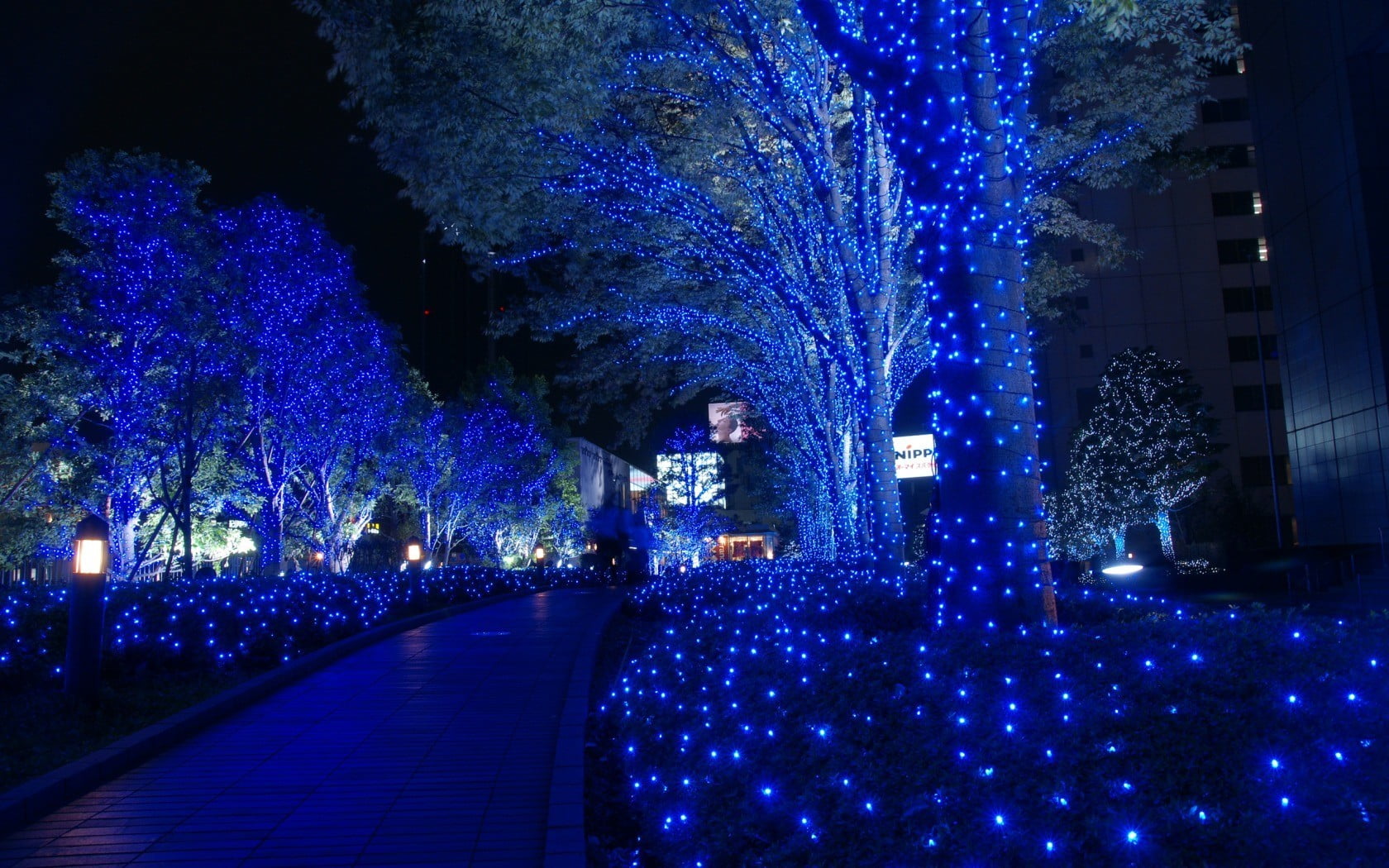 street, city, garden, direction, architecture, decoration, lighting equipment, built structure, celebration, outdoors, lights, night, incidental people, HD Wallpaper