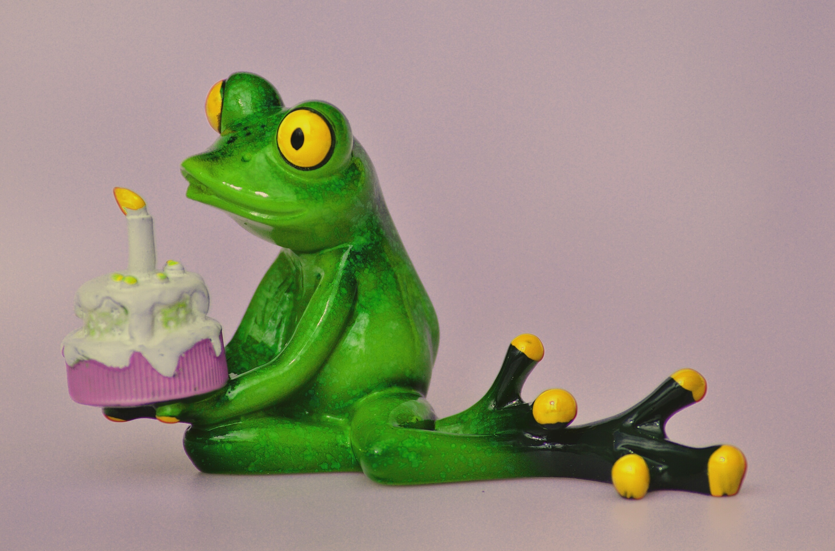 cute, figure, green color, table, food, close-up, vertebrate, birthday candles, 2K, funny, candle, yellow, white background, congratulations, frog, animal themes, HD Wallpaper