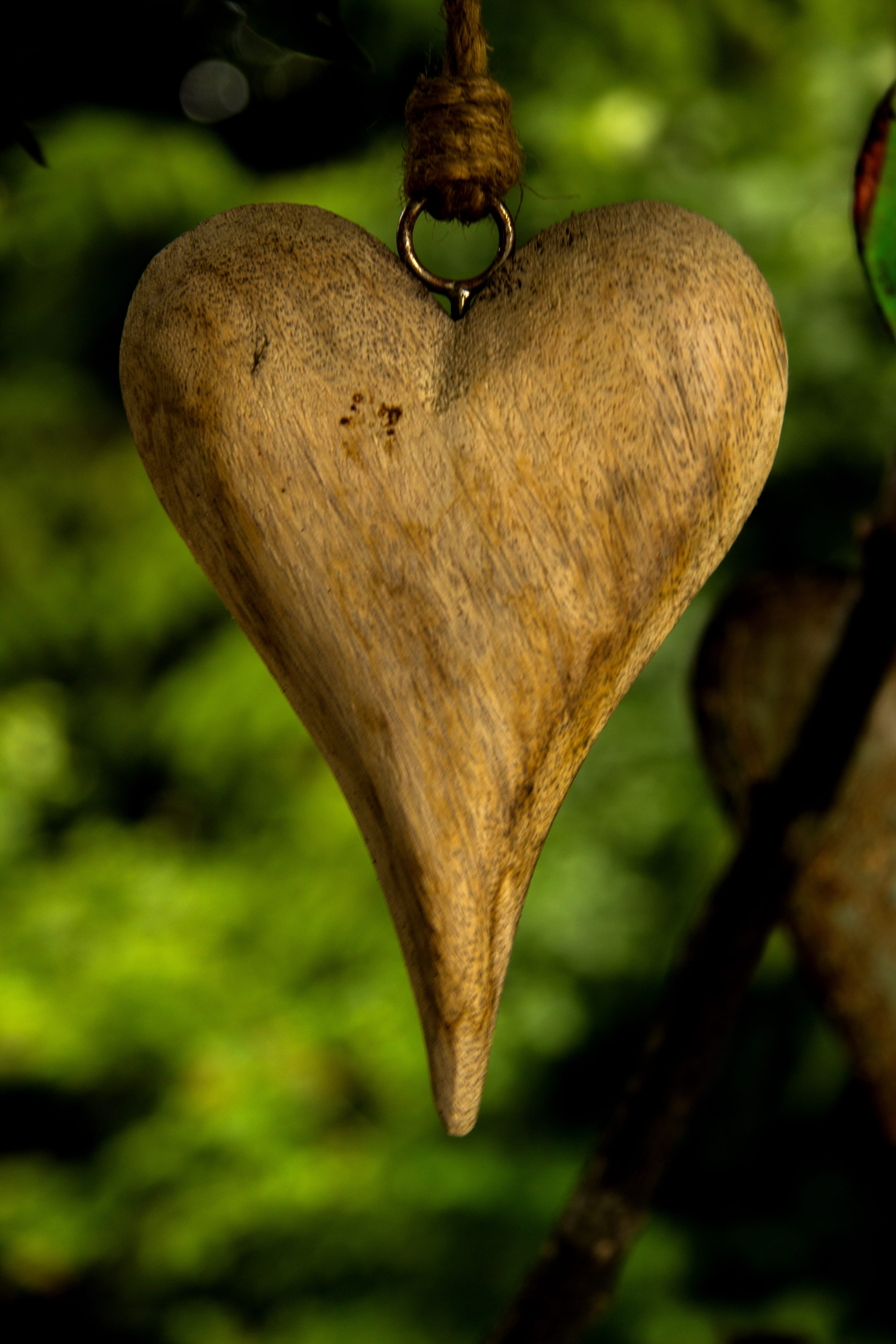 grateful, wood - material, lust for life, old, birthday card, 5K, mood, plant part, thank you card, thank you very much, green color, hanging, decorative, Phone HD Wallpaper