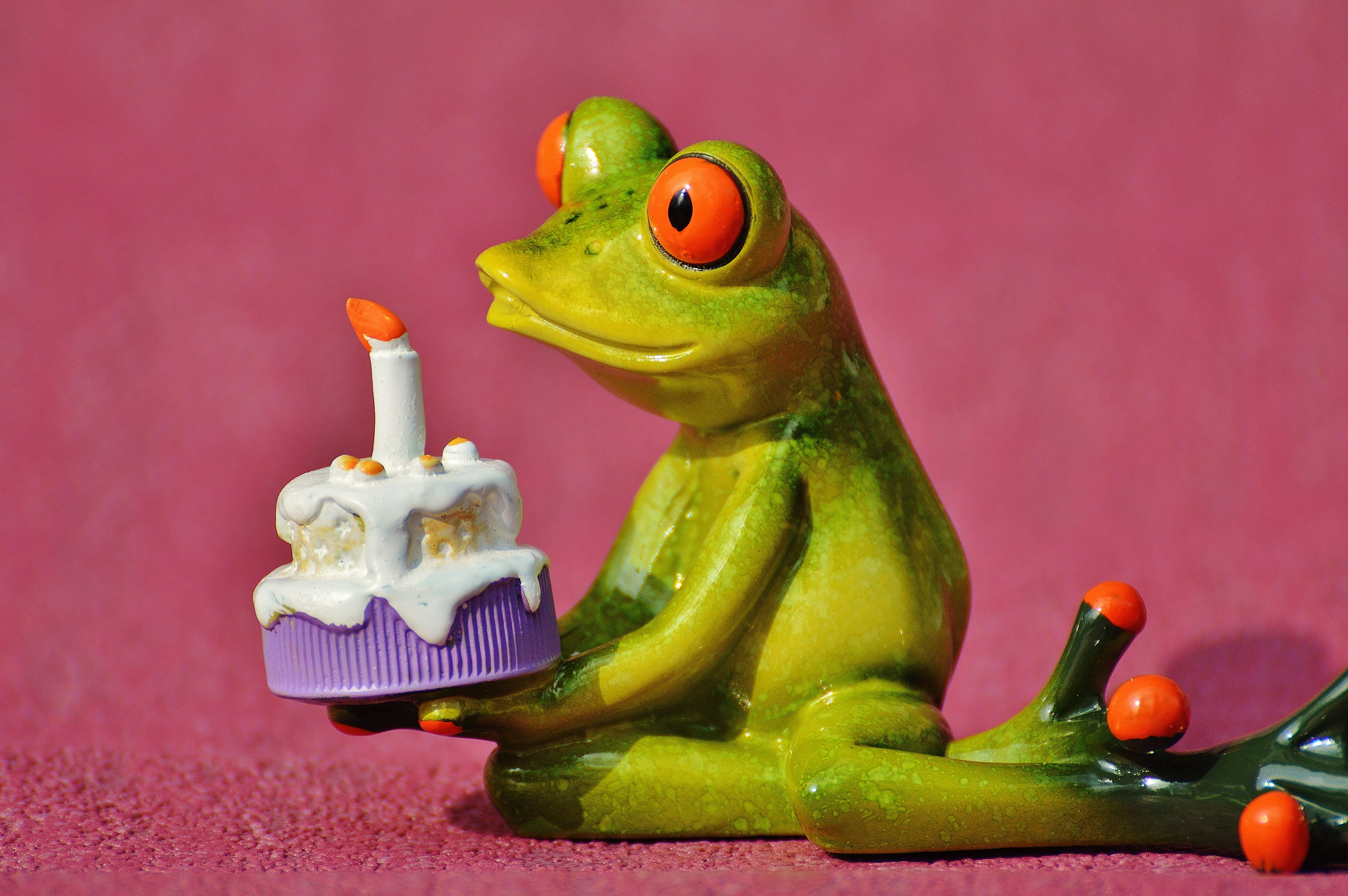 birthday cake, fruit, figurine, congratulations, animal themes, Happy Birthday, one animal, Frog, animal, funny, cute, holds, representation, figure, birthday candles, HD Wallpaper