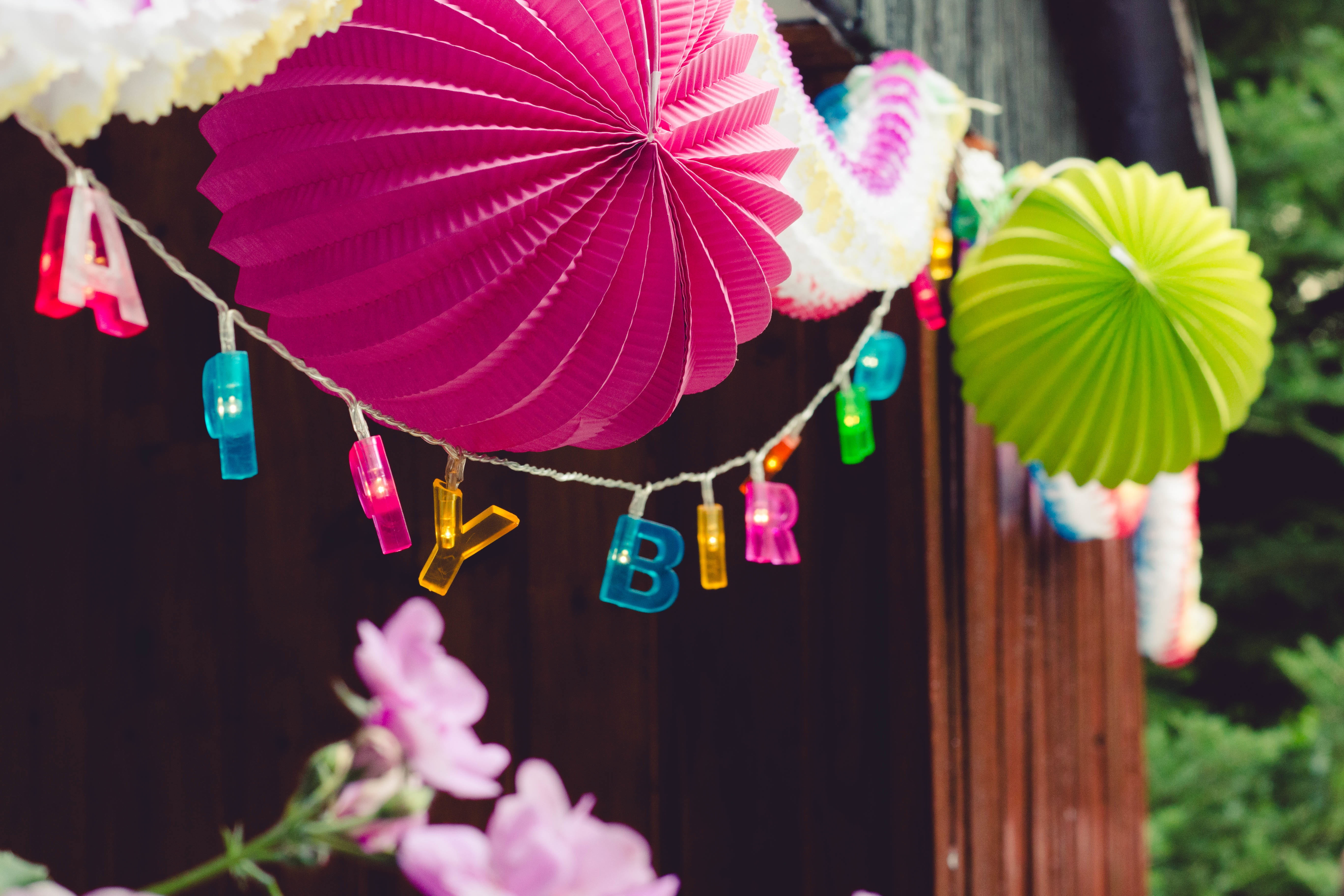 pink color, multi colored, decors, happy, chinese lantern, cultures, selective focus, photo, flower, outdoors, day, low angle view, plant, focus on foreground, HD Wallpaper