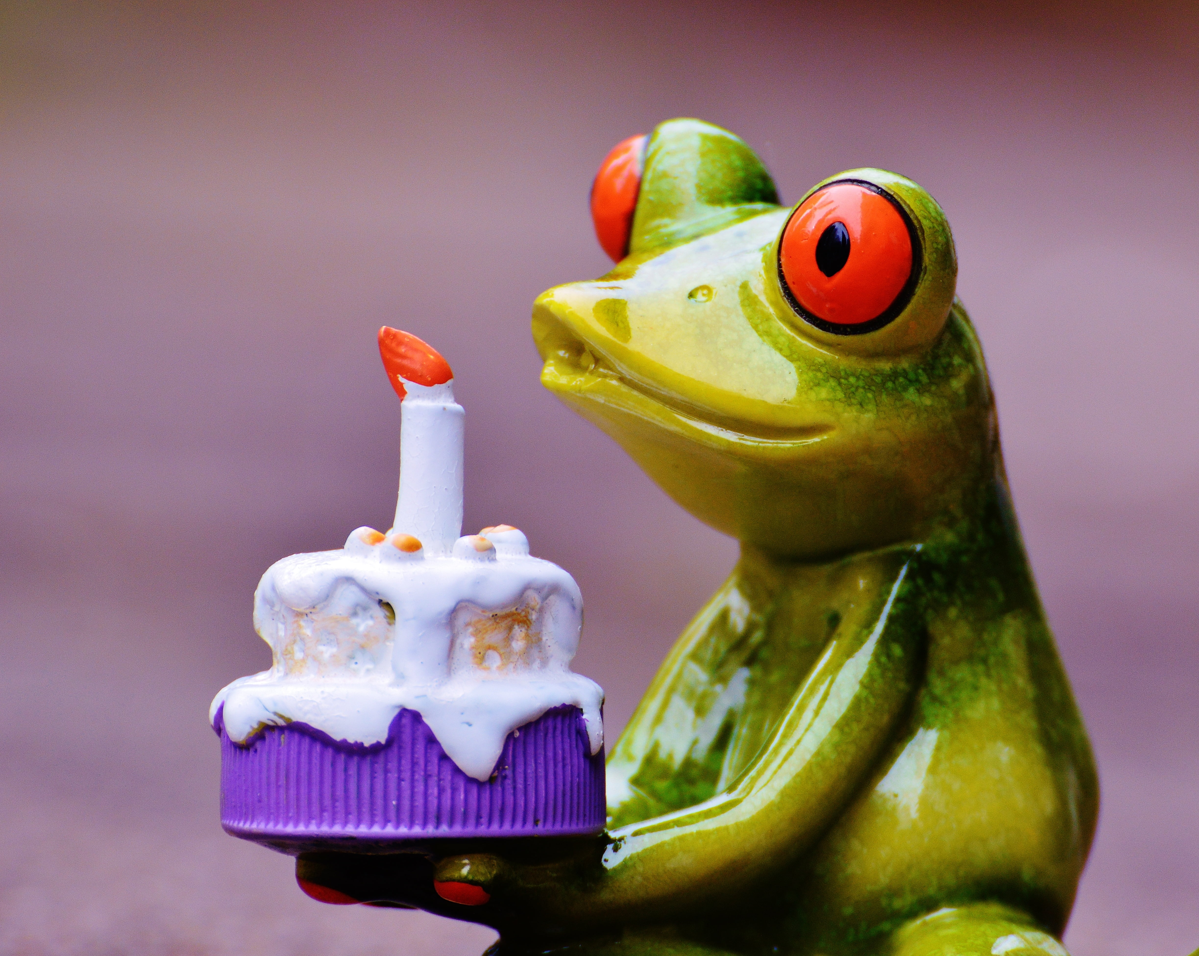 sweet food, colored background, freshness, holding, figure, macro, greeting card, indulgence, photography, funny, healthy eating, happy birthday, colorful, HD Wallpaper