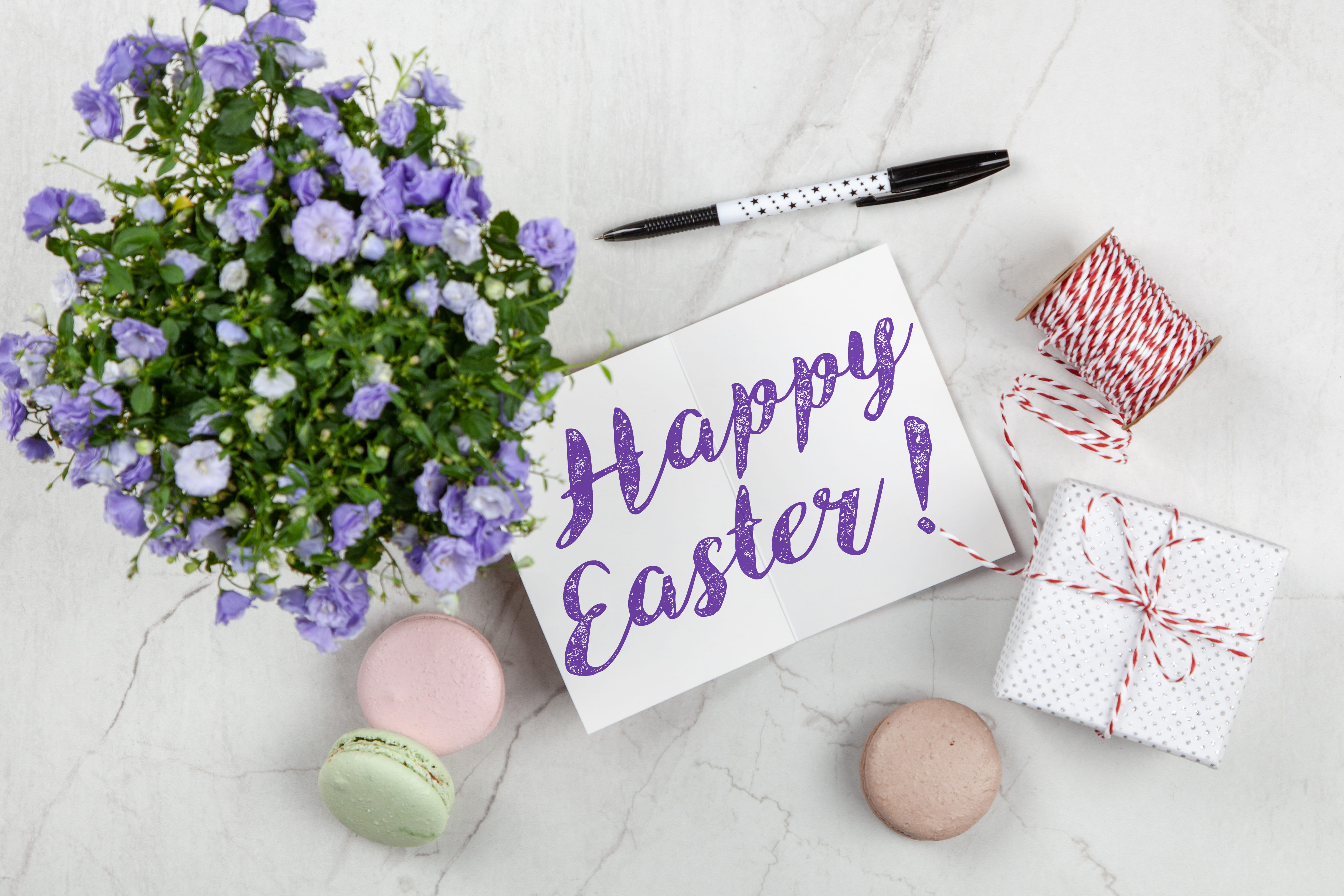 easter, flower arrangement, directly above, greeting card, colors, bow, purple, white color, centerpiece, white background, day, communication, western script, HD Wallpaper