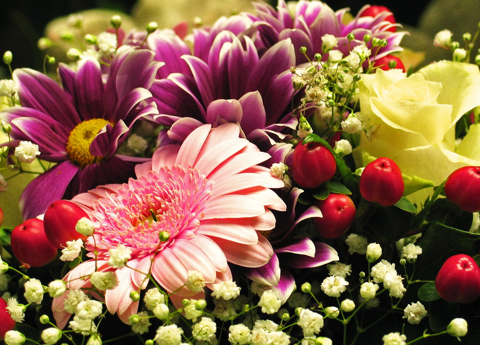 flower, purple, no people, fragility, vulnerability, flowering plant, day, petaled, bouquets, flora, connectedness, peony, congratulations, freshness, flower arrangement, HD Wallpaper