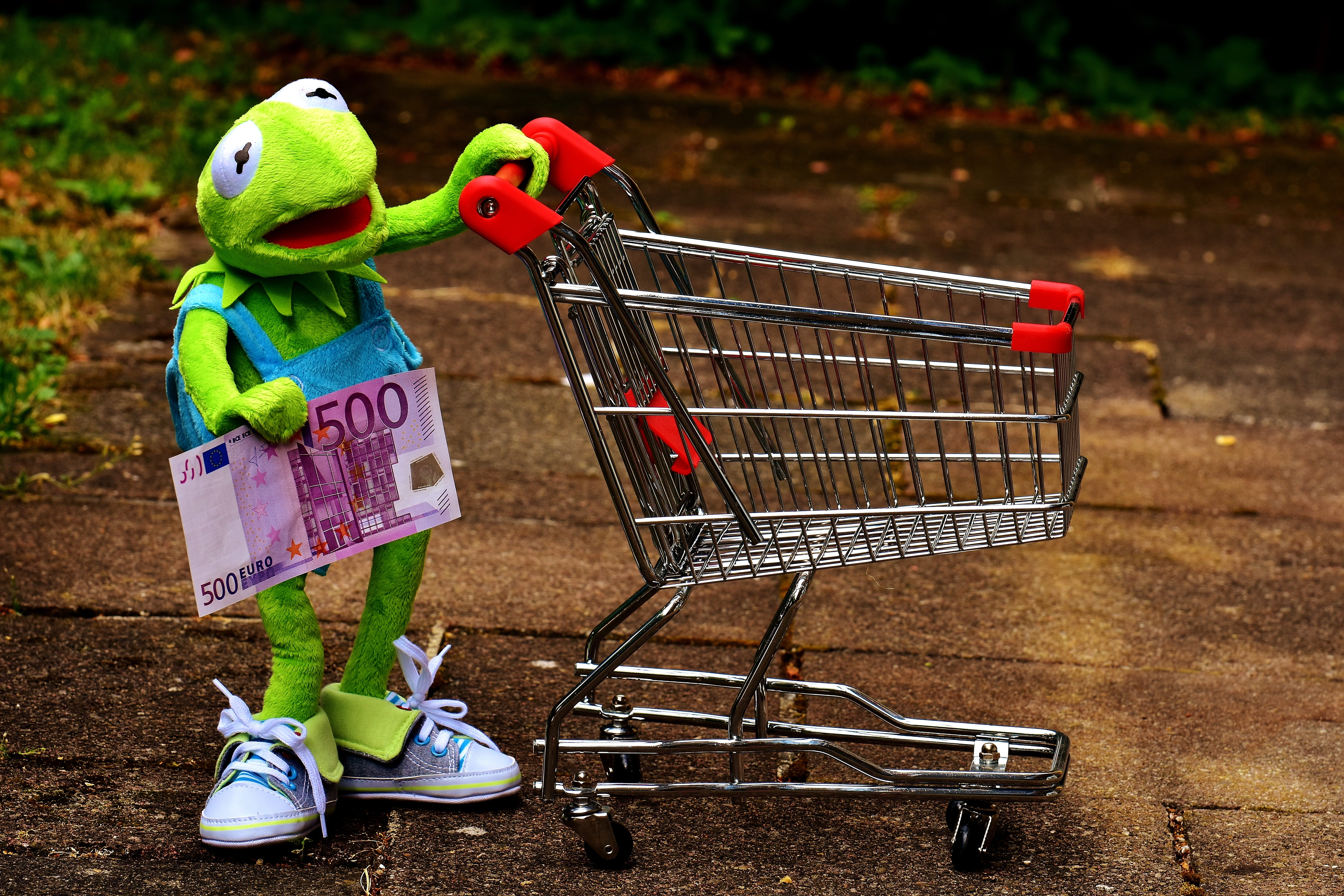 offspring, supermarket, store, money, toys, funny, day, Shopping Cart, focus on foreground, euro, absence, Kermit, cheap, 5K, purchasing, stuffed animal, HD Wallpaper