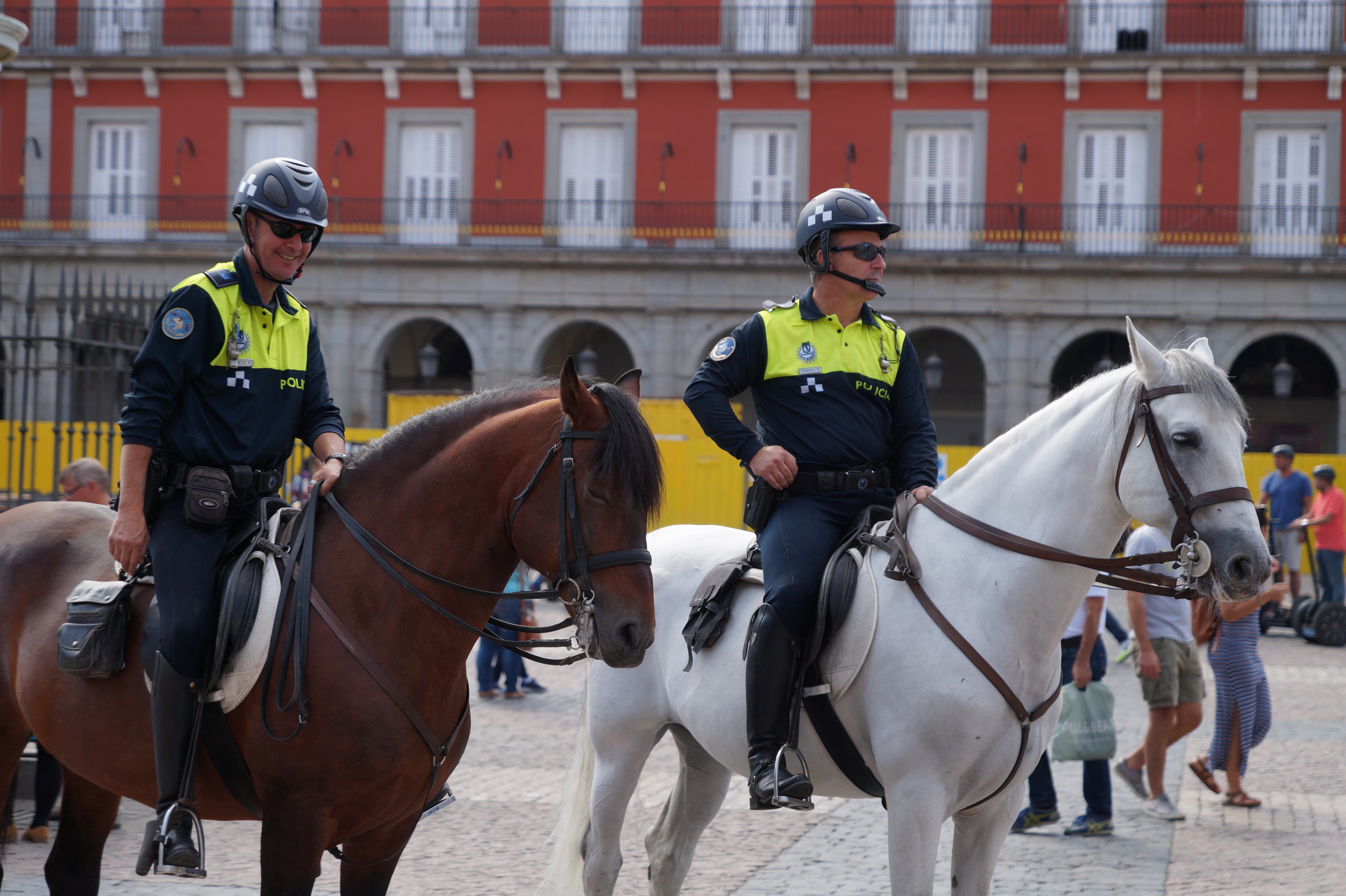 real people, outdoors, policeman, two, horse, building exterior, working animal, riding, uniform, area, animal wildlife, vertebrate, group of animals, day, HD Wallpaper