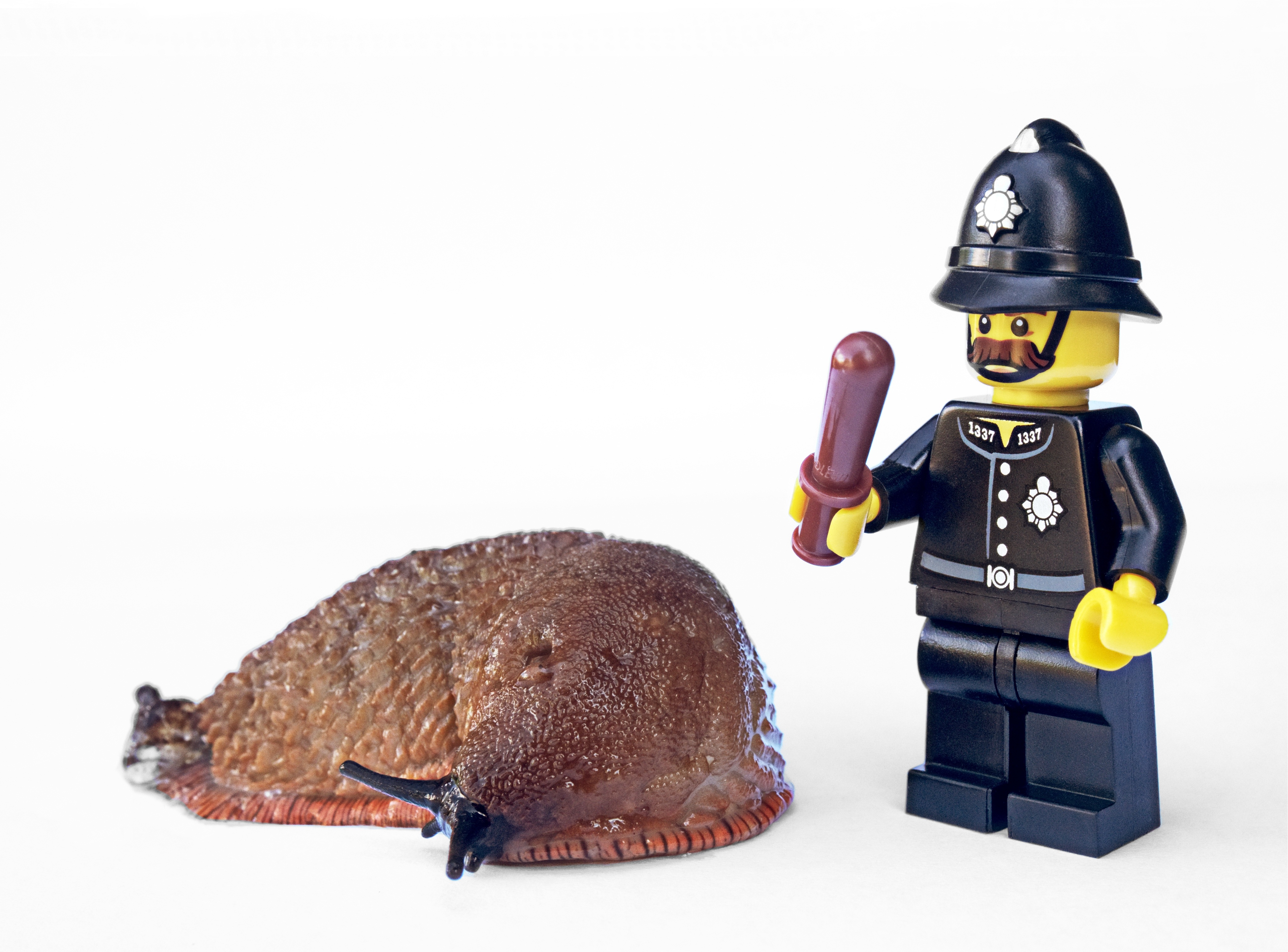 protect, organic, food and drink, crop, ecological, enforcement, banish, cop, intimidation, pc, control, ecology, exclude, weapon, order, enforce, constable, HD Wallpaper