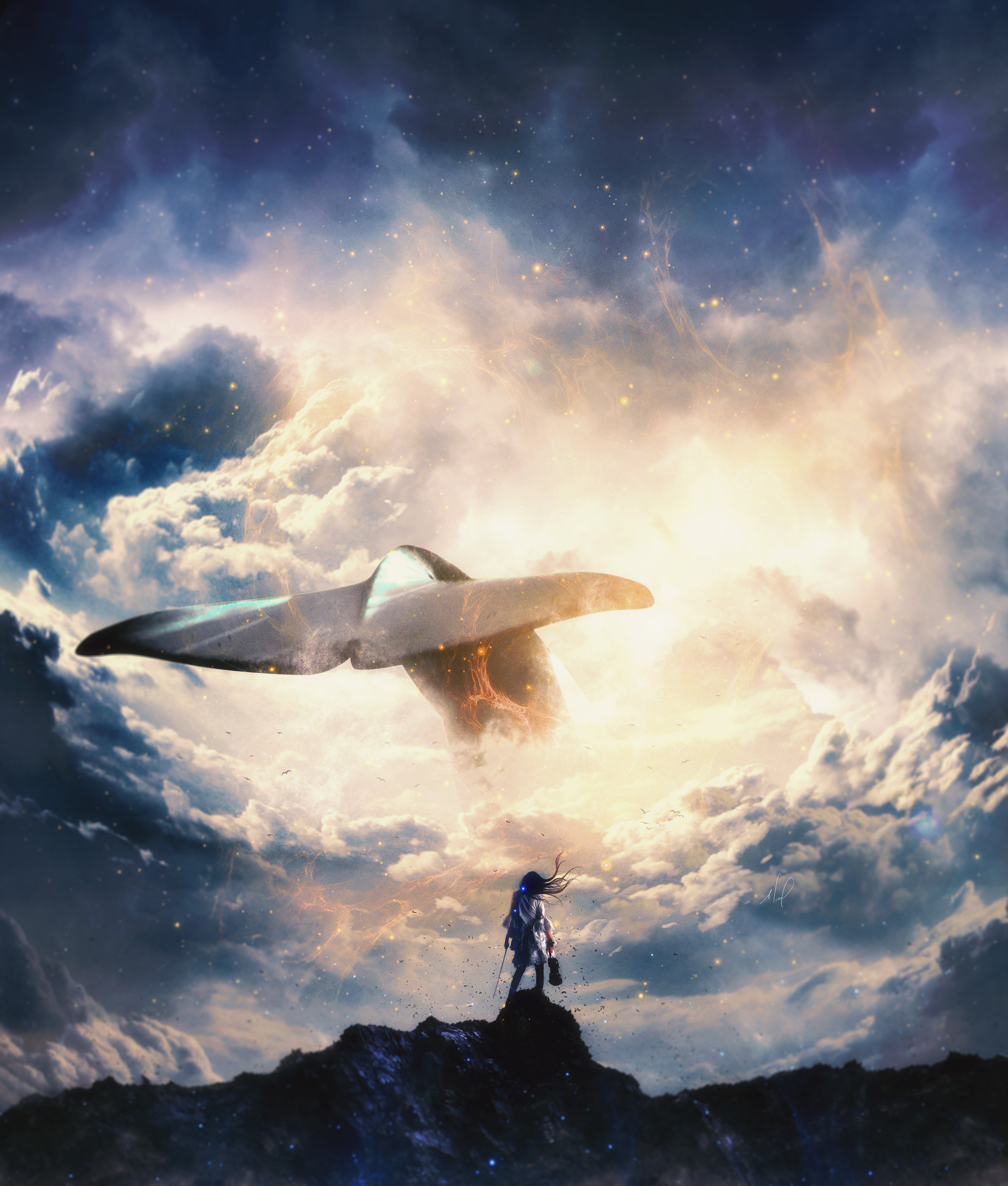 whale, clouds, activity, nature, sunrise - Dawn, tail, jumping, real people, freedom, fun, dramatic Sky, rod, flying, blue, back Lit, recreational Pursuit, Phone HD Wallpaper