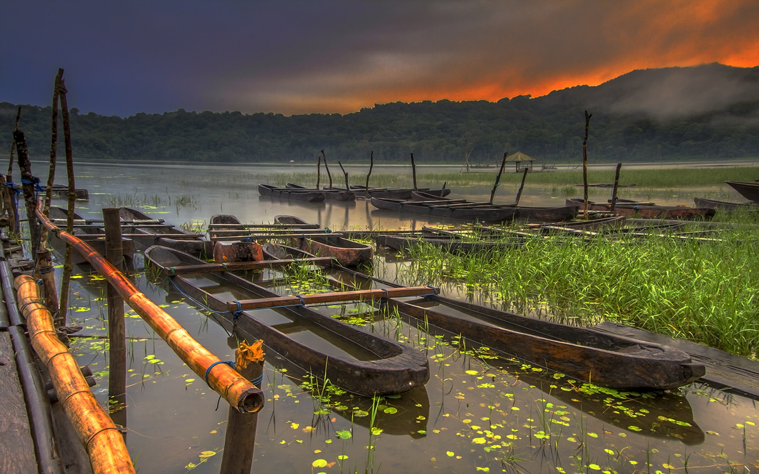 calm, evaporation, anchored, reed, lake, hd, 2K, green, indonesia, background, tamblingan, boats, sunrise, desktop, HD Wallpaper