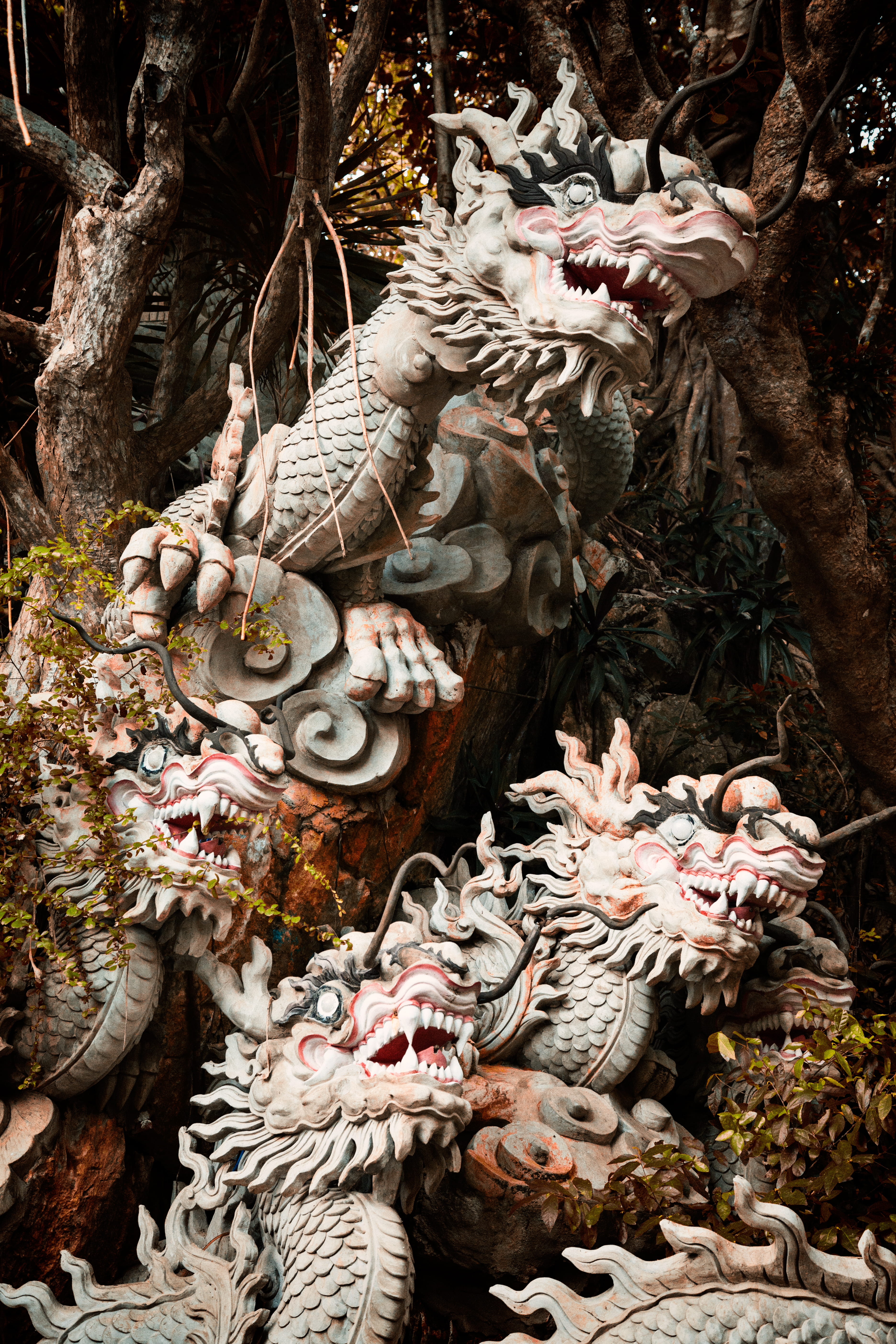 figurine, representation, snake, marble, root, flower, theme park, reptile, no people, amusement park, nature, rock python, creativity, animal representation, Phone HD Wallpaper