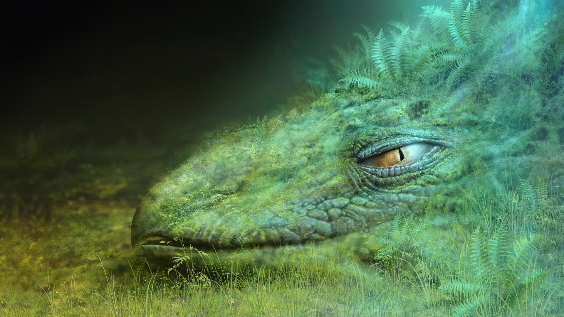 mouth open, forest, crocodilian reptile, plant, one animal, vertebrate, park, african crocodile, animal body part, nature, field, green color, day, selective focus, HD Wallpaper