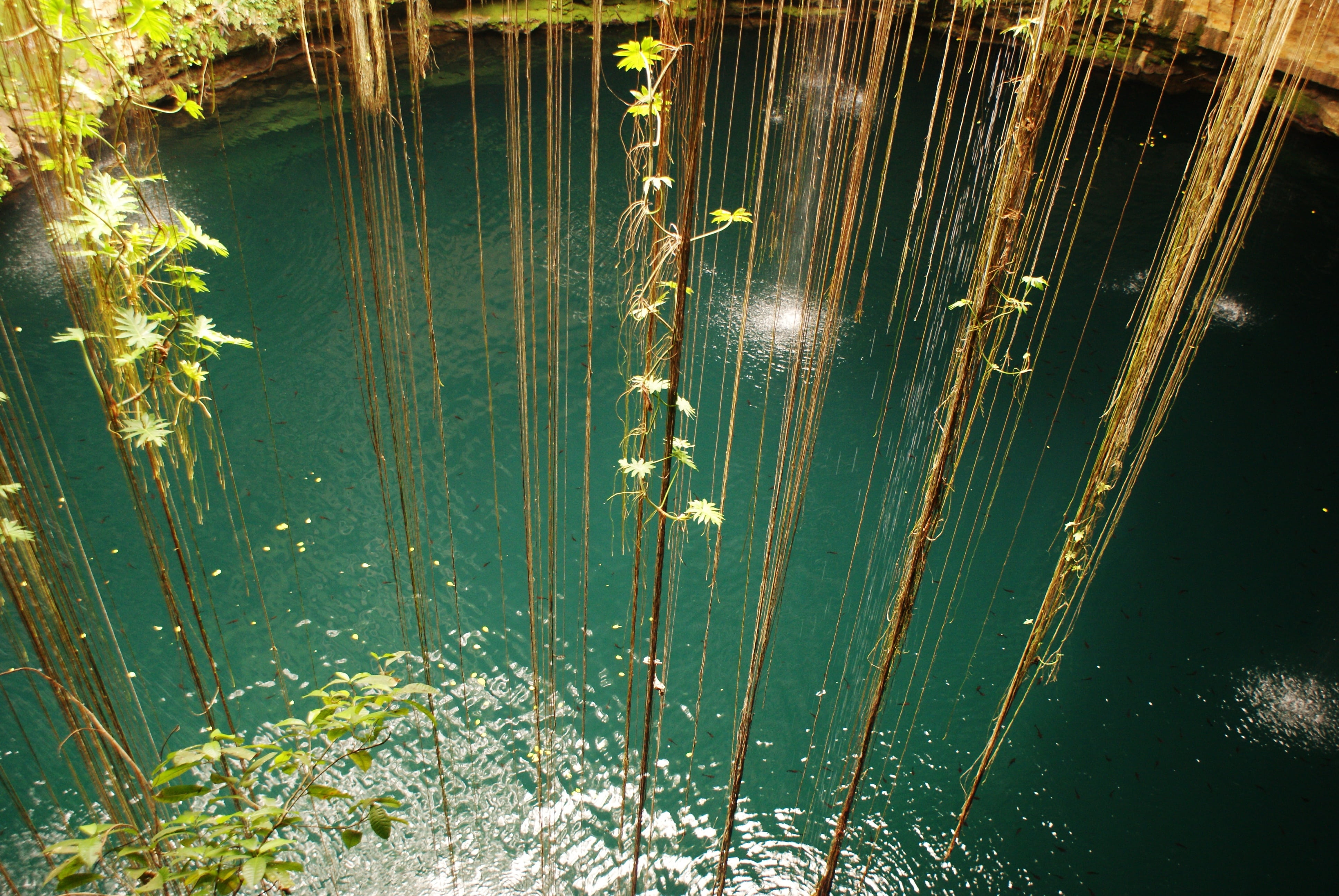 brook, 4K, water, outdoor, river, fresh, waterfall, park, no people, asia, green color, outdoors, nature, relax, growth, cool, beauty in nature, lake, HD Wallpaper