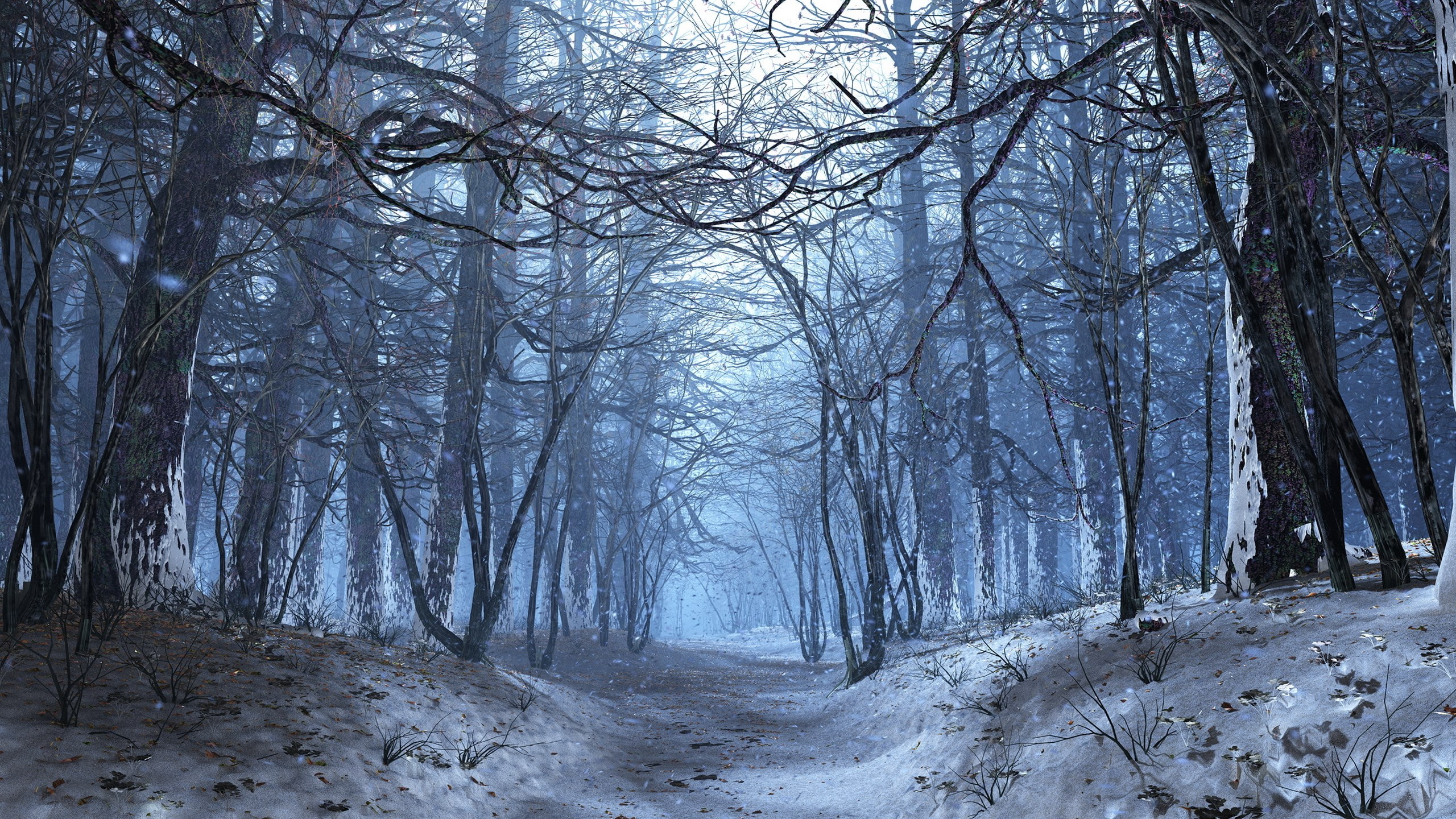 tranquil scene, cold temperature, 2K, non-urban scene, plant, beauty in nature, tranquility, tree, bare tree, widescreen nature 2560x1440, tree trunk, HD Wallpaper