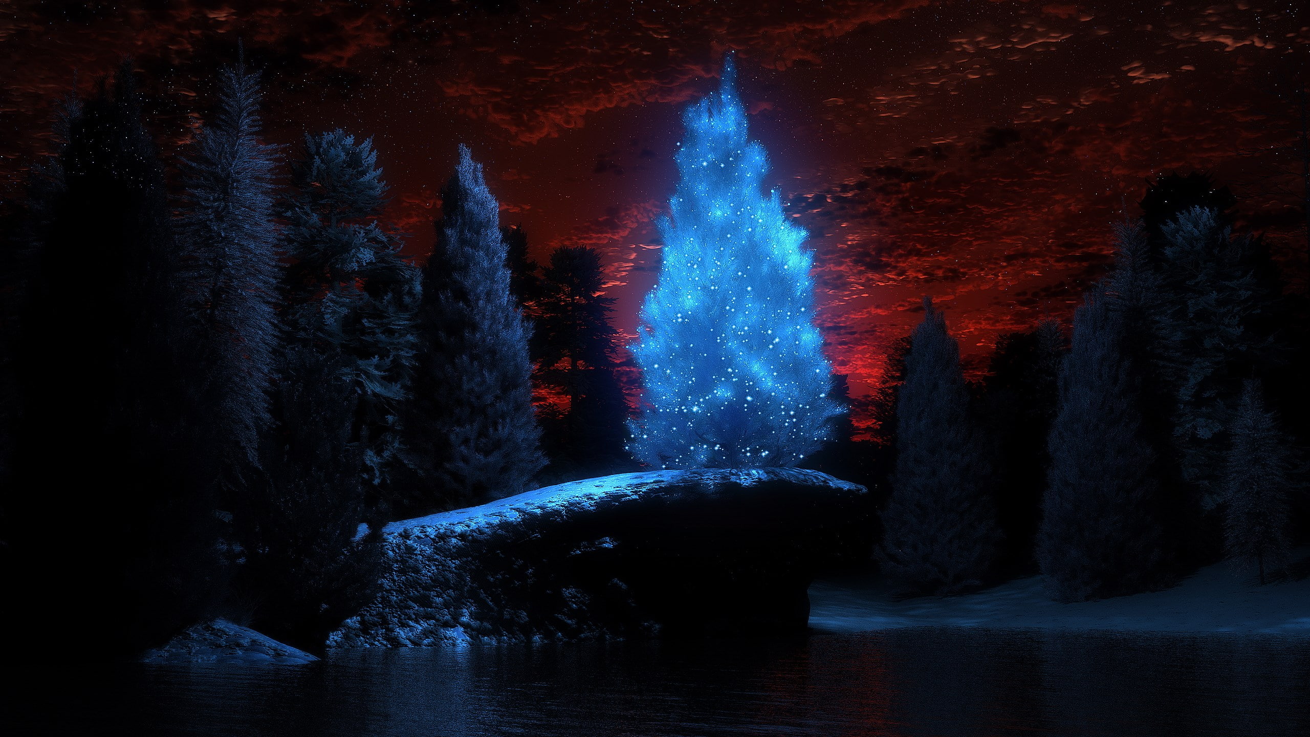 nature, architecture, waterfront, celebration, flowing water, decoration, 2K, no people, lake, forest, night, plant, illuminated, widescreen nature 2560x1440, HD Wallpaper