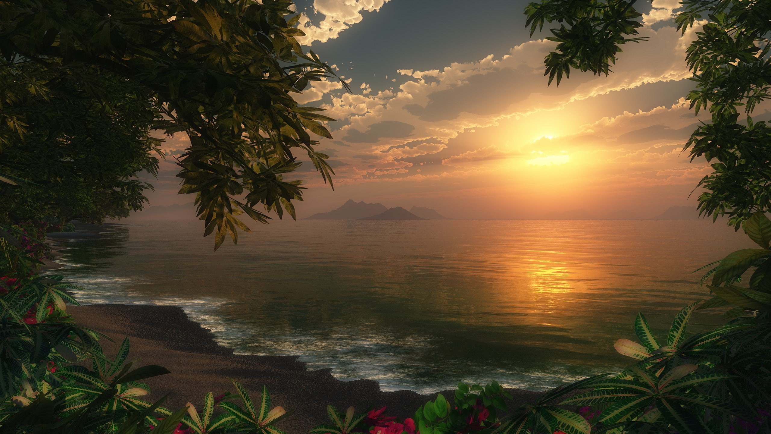 tranquil scene, palm tree, cloud - sky, growth, reflection, 2K, sky, plant, tranquility, sea, sunset, outdoors, no people, sunlight, tropical climate, HD Wallpaper