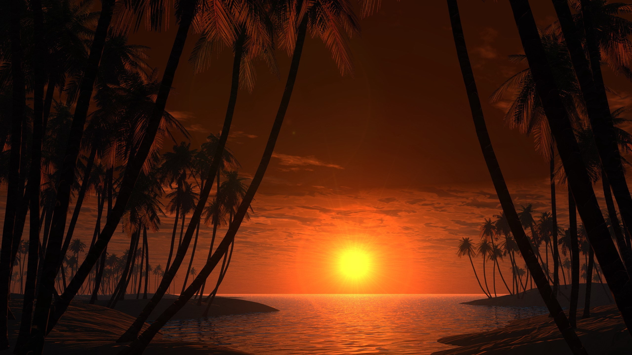 outdoors, palm tree, tranquil scene, sun, palm leaf, tree, widescreen nature 2560x1440, sea, beauty in nature, horizon, nature, tranquility, scenics - nature, HD Wallpaper