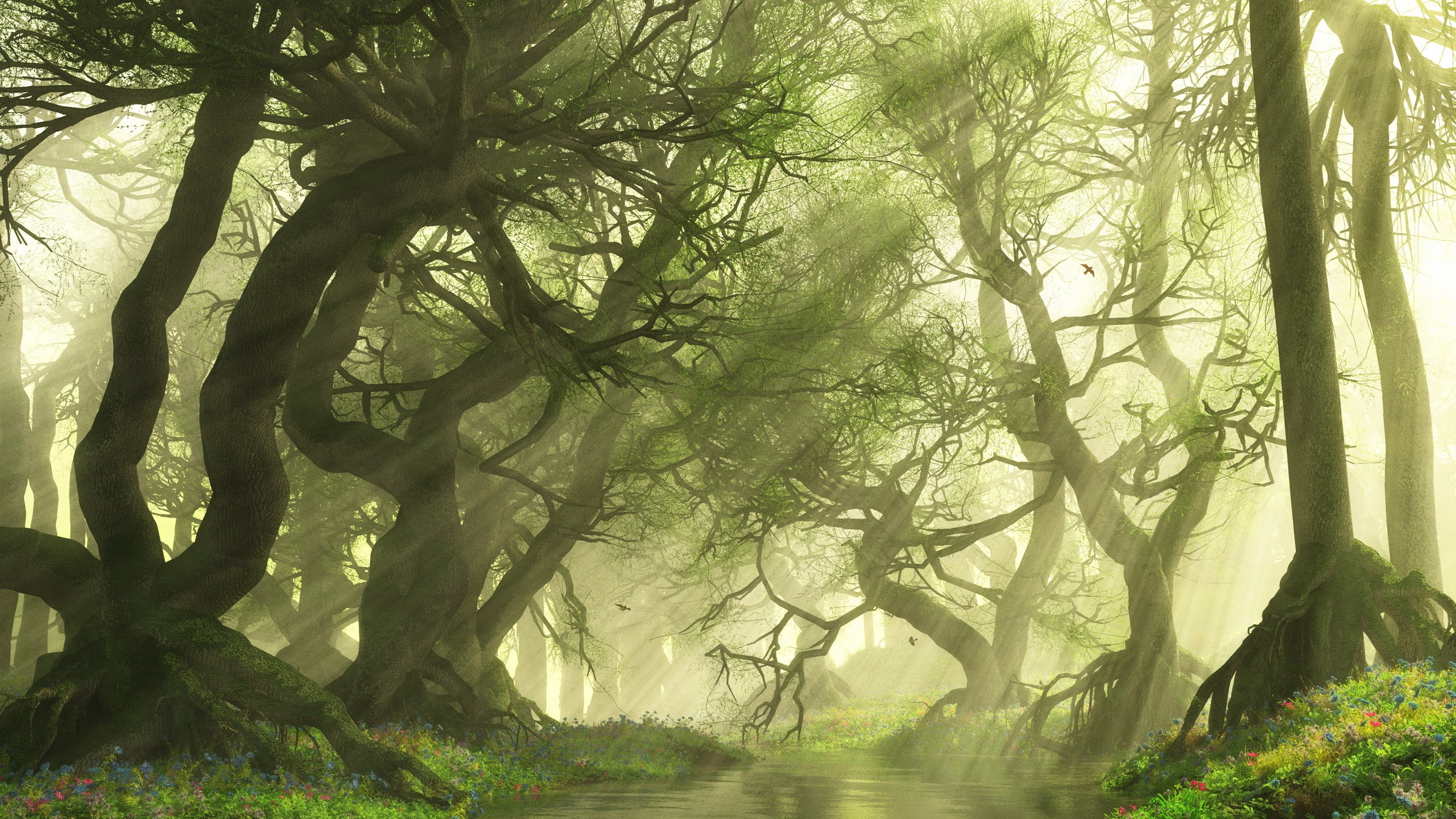 no people, tree, fog, plant, forest, sunlight, widescreen nature 2560x1440, tranquility, land, nature, tranquil scene, outdoors, growth, day, streaming, HD Wallpaper