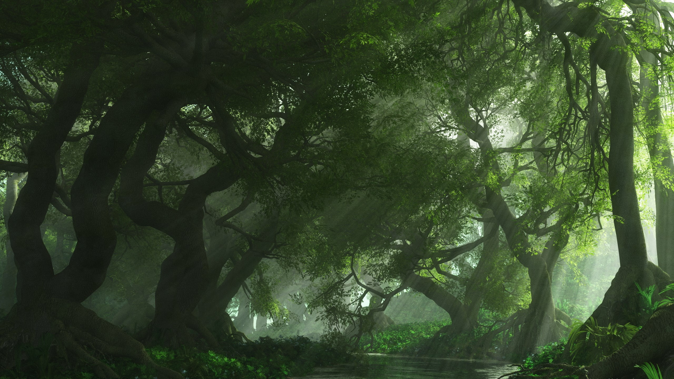 tranquil scene, scenics - nature, tree trunk, no people, sunlight, plant, growth, outdoors, widescreen nature 2560x1440, land, trunk, 2K, day, branch, HD Wallpaper