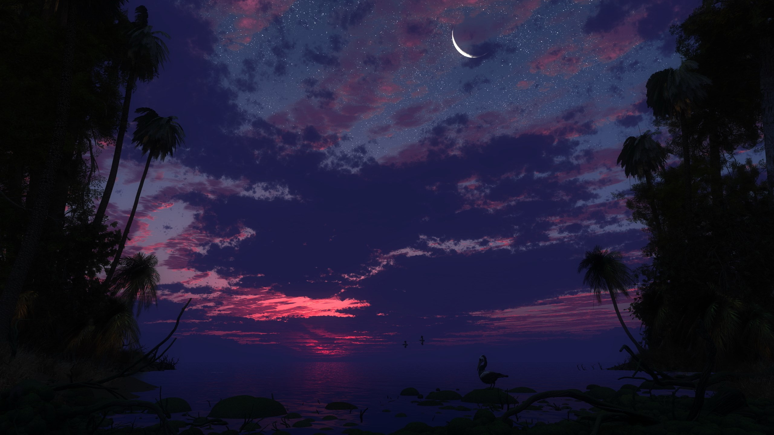 palm tree, tree, outdoors, astronomy, nature, no people, tranquil scene, cloud - sky, plant, scenics - nature, tranquility, silhouette, sky, widescreen nature 2560x1440, HD Wallpaper