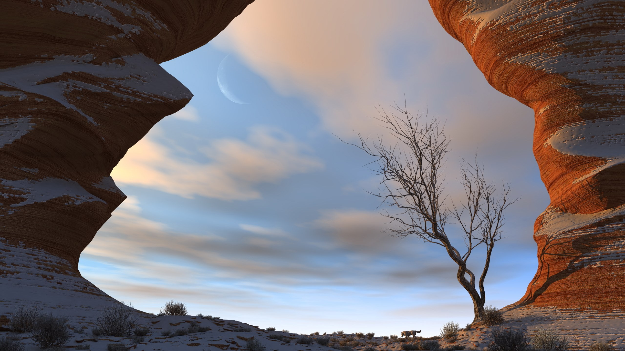 2K, widescreen nature 2560x1440, HD Wallpaper