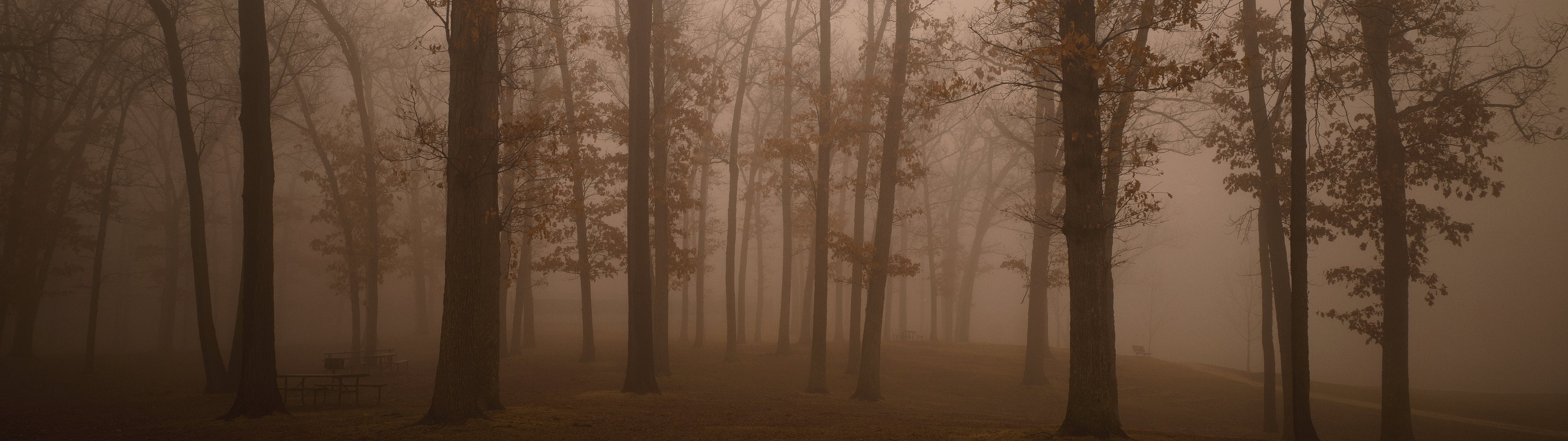 4K, owdlarrd, 3840x1080, panoramic, HD Wallpaper