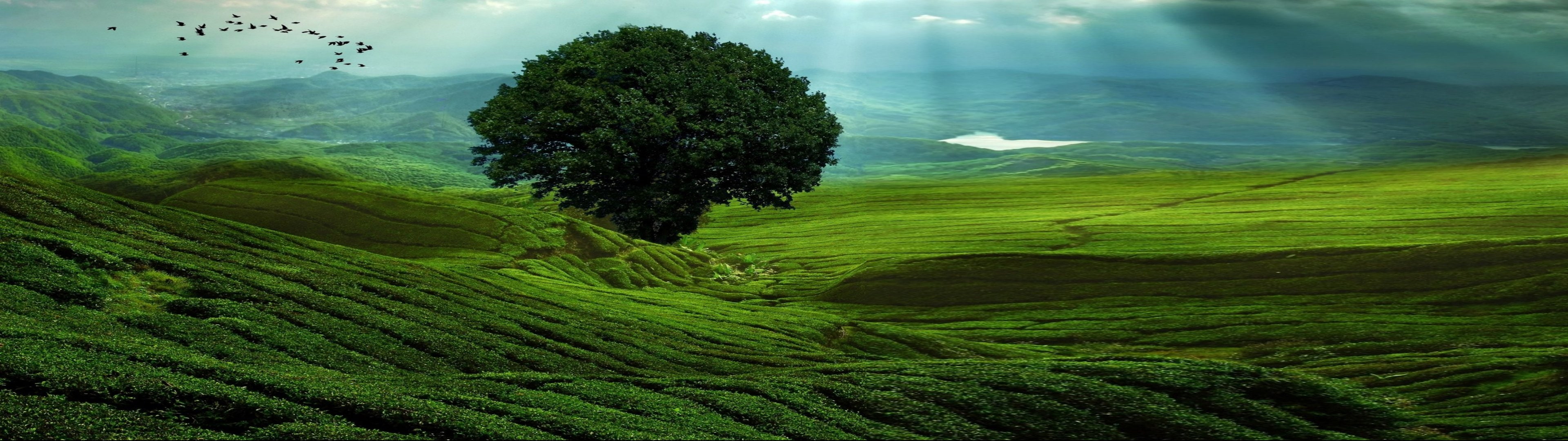 3840x1080, owdlarrd, 4K, panoramic, HD Wallpaper