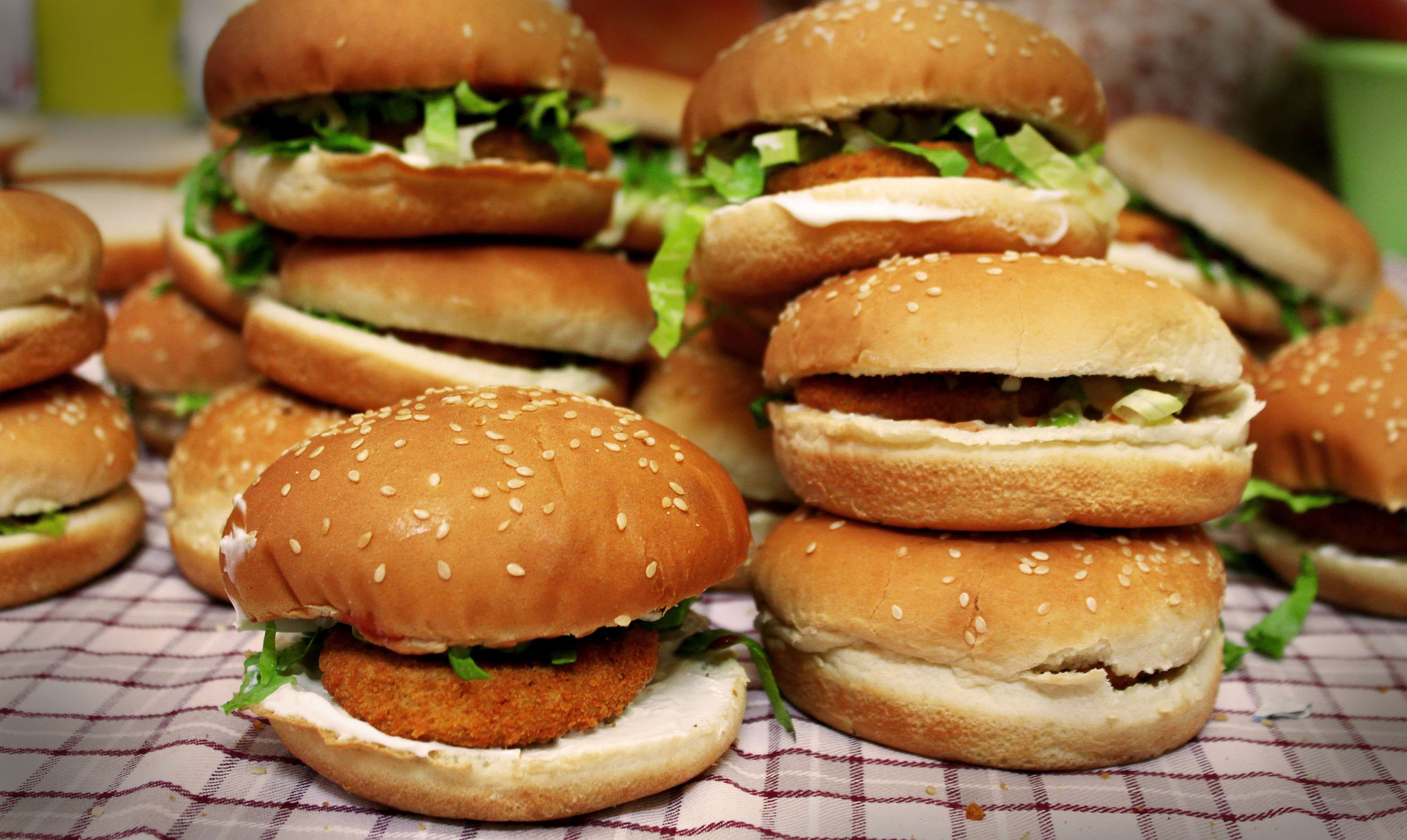 cheeseburger, burger, yum, indoors, freshness, food and drink, temptation, bun, chicken, seed, 4K, no people, close-up, take out food, ready-to-eat, sesame, HD Wallpaper