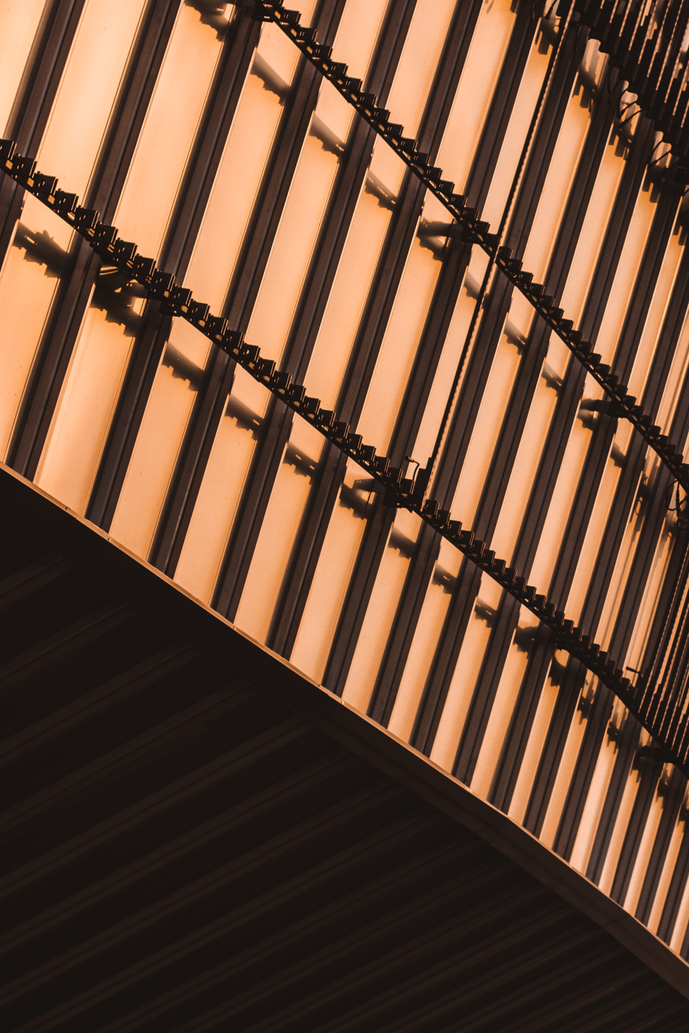 grille, handrail, banister, uzbekistan, 2K, humo, repetition, animal, pattern, backgrounds, lion, wildlife, city, iphone, built structure, architecture, Phone HD Wallpaper
