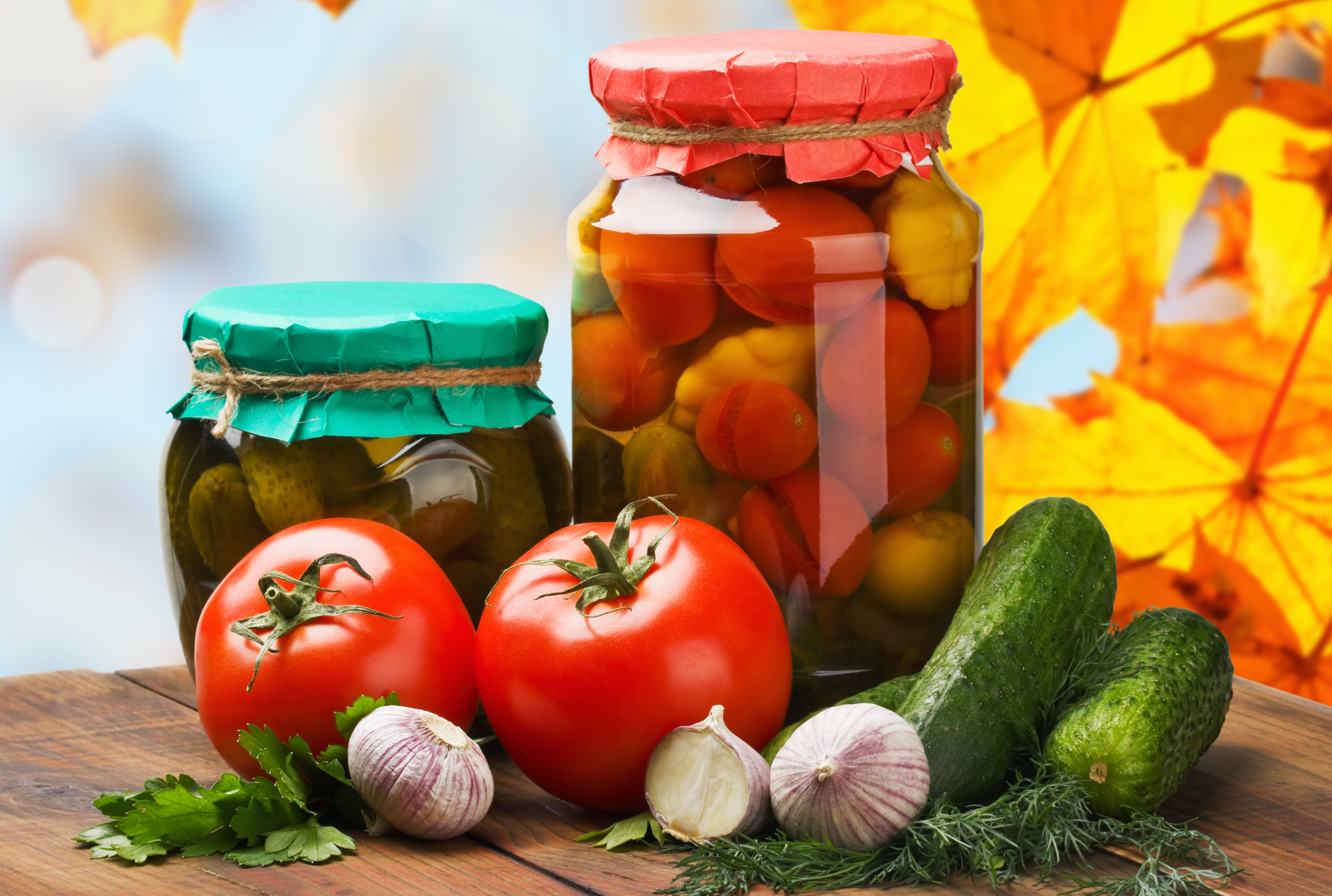 container, veins, tomato, variation, vegetable, herb, focus on foreground, red, banks, tomatoes, pickles, still life, leaves, vegetarian food, food, dill, HD Wallpaper