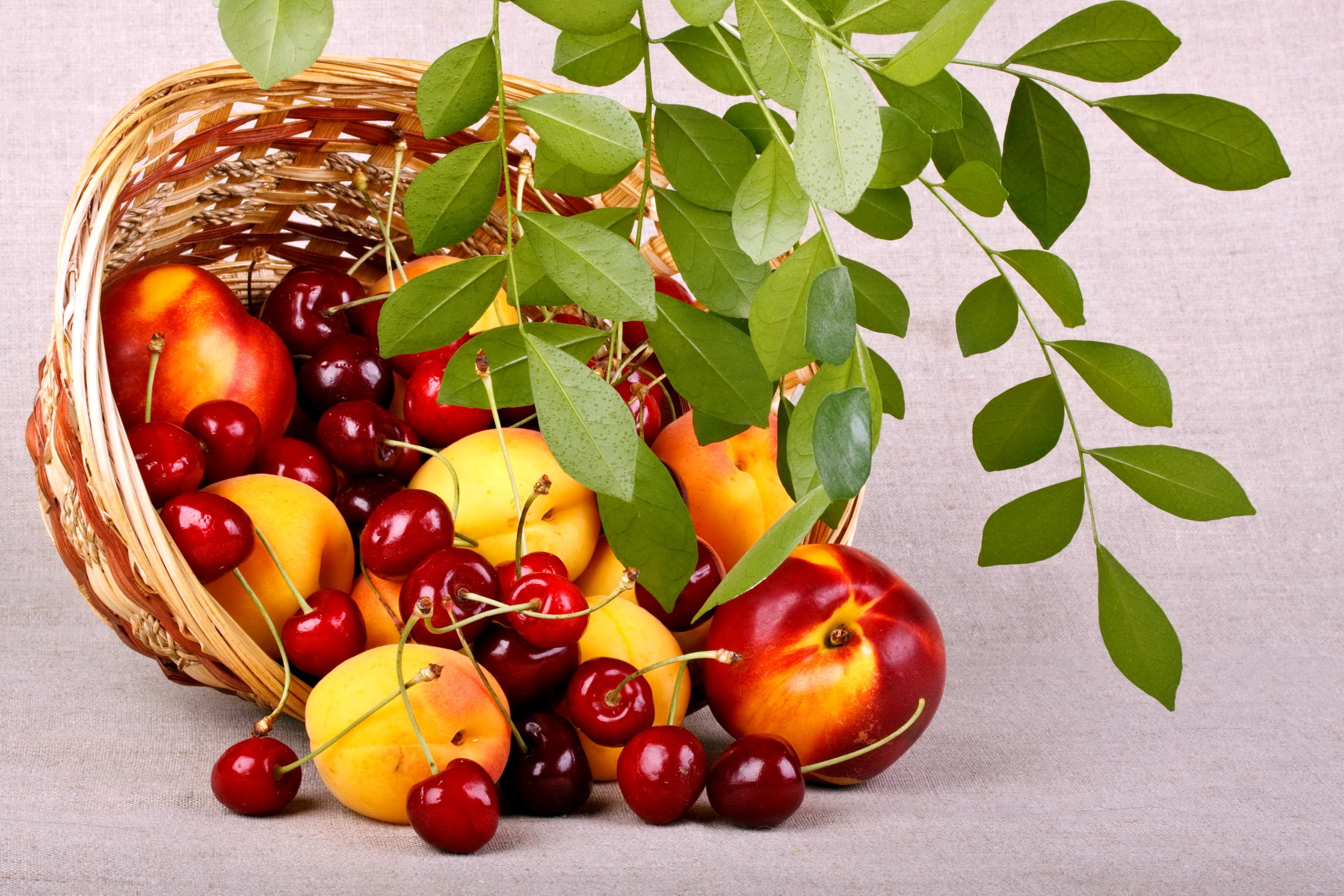 nectarines, nature, fruit, healthy Eating, healthy Lifestyle, gourmet, summer, still life, close-up, plant, agriculture, wood - Material, dessert, wellbeing, HD Wallpaper
