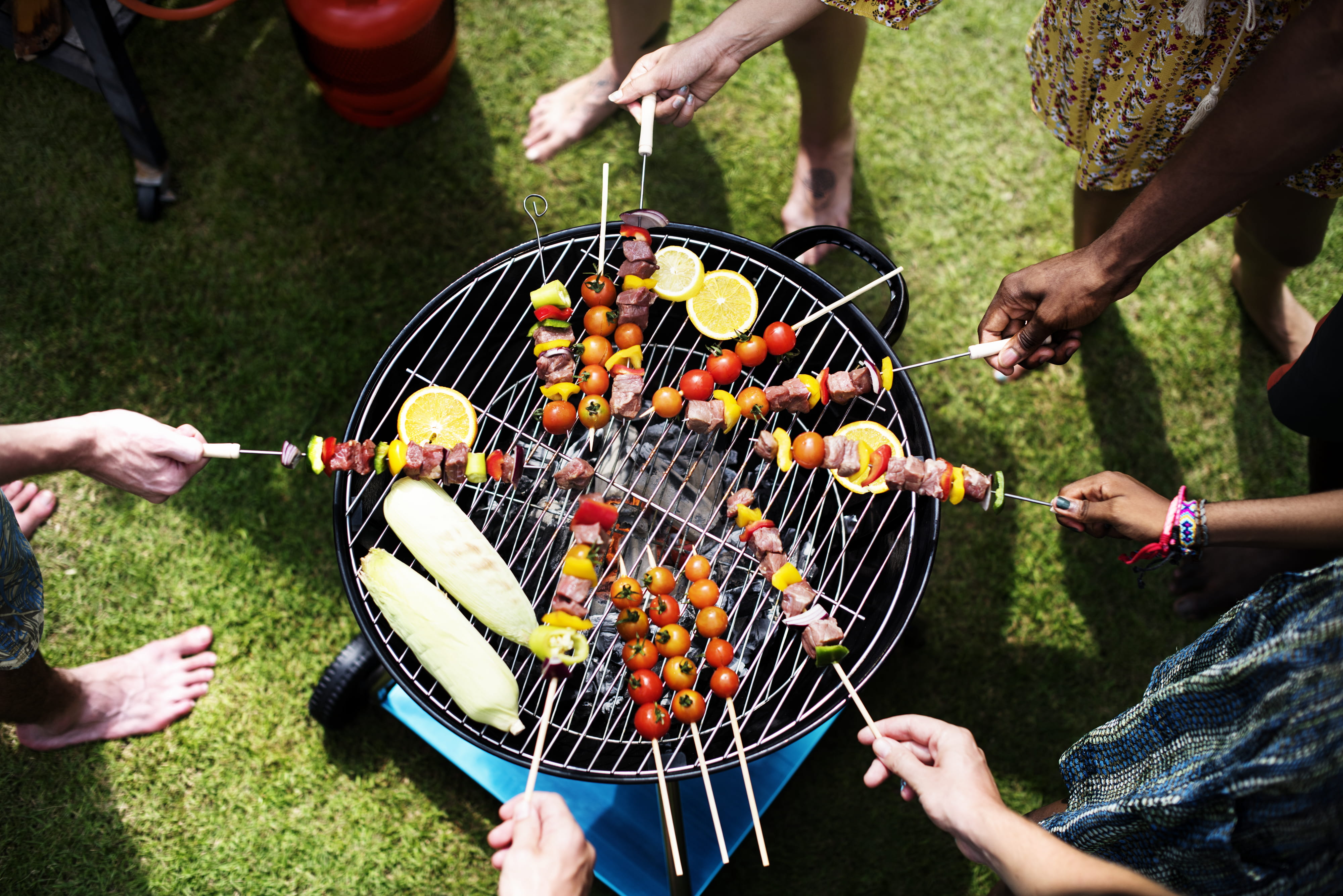 meat, skewered, people, aerial, grass, friends, wellbeing, grilling, delicious, fun, outdoors, healthy eating, group of people, front or back yard, food and drink, HD Wallpaper
